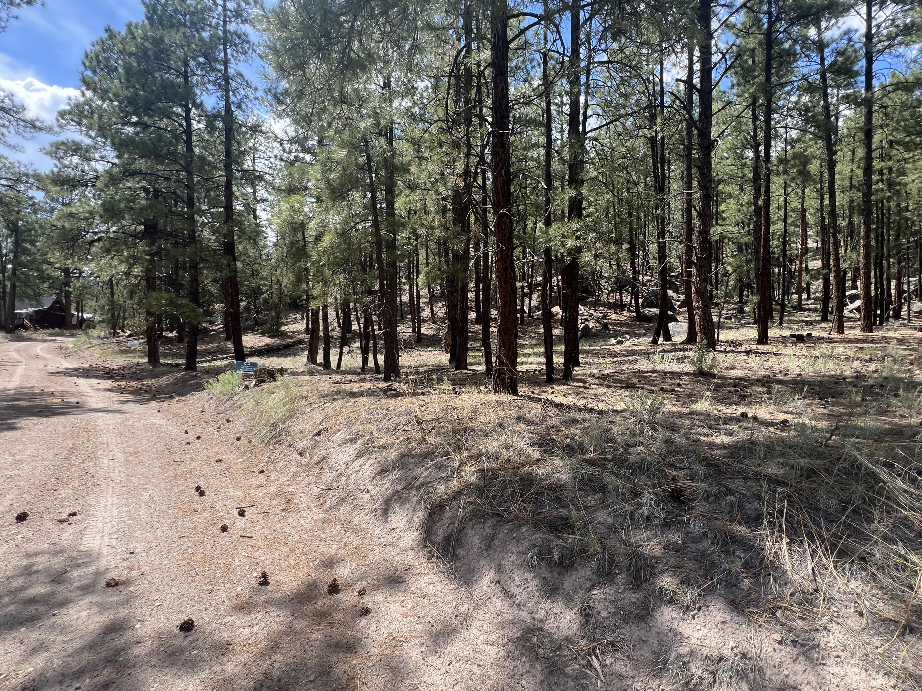 Lot 36 Spruce Loop