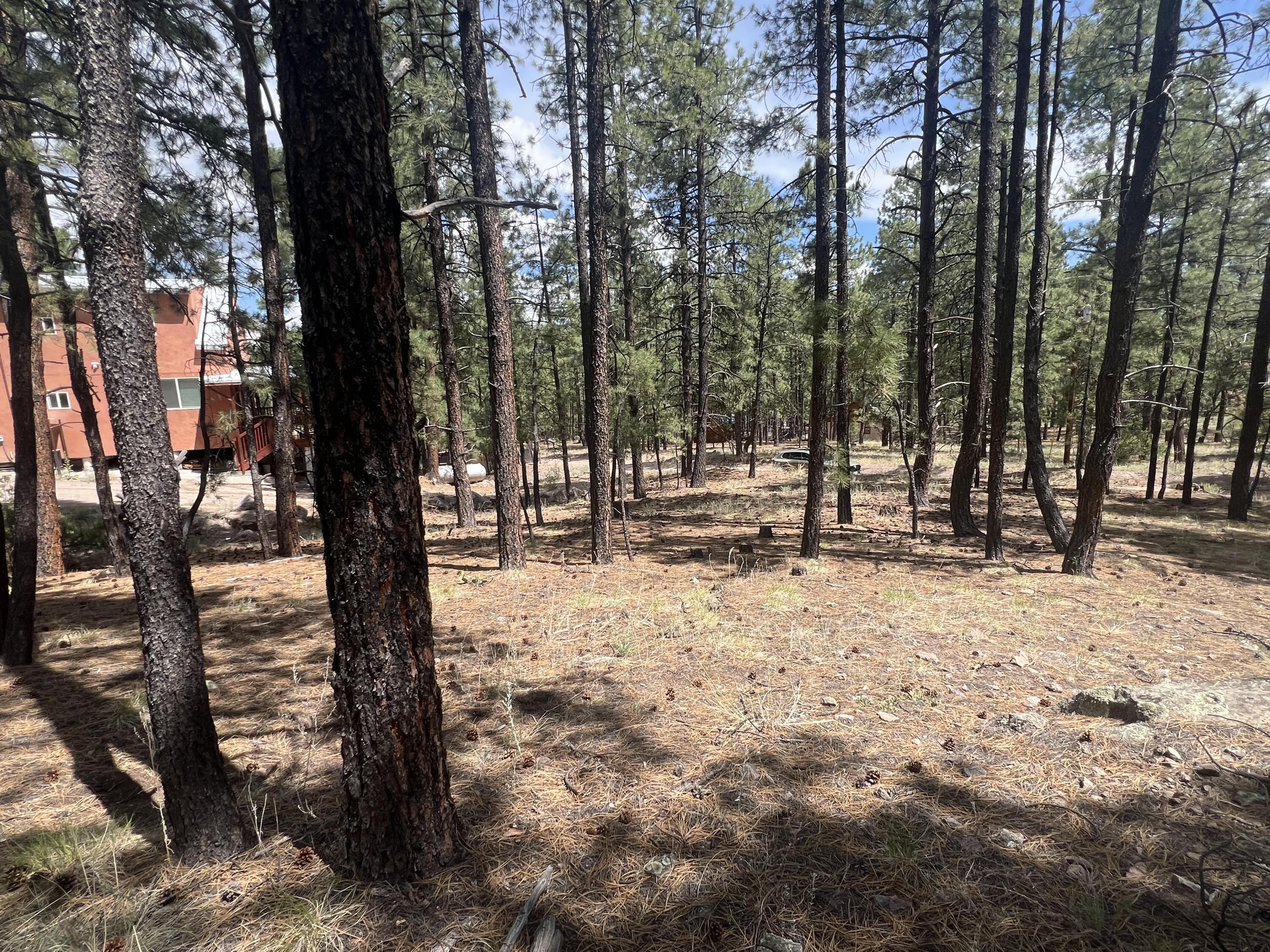 Lot 36 Spruce Loop