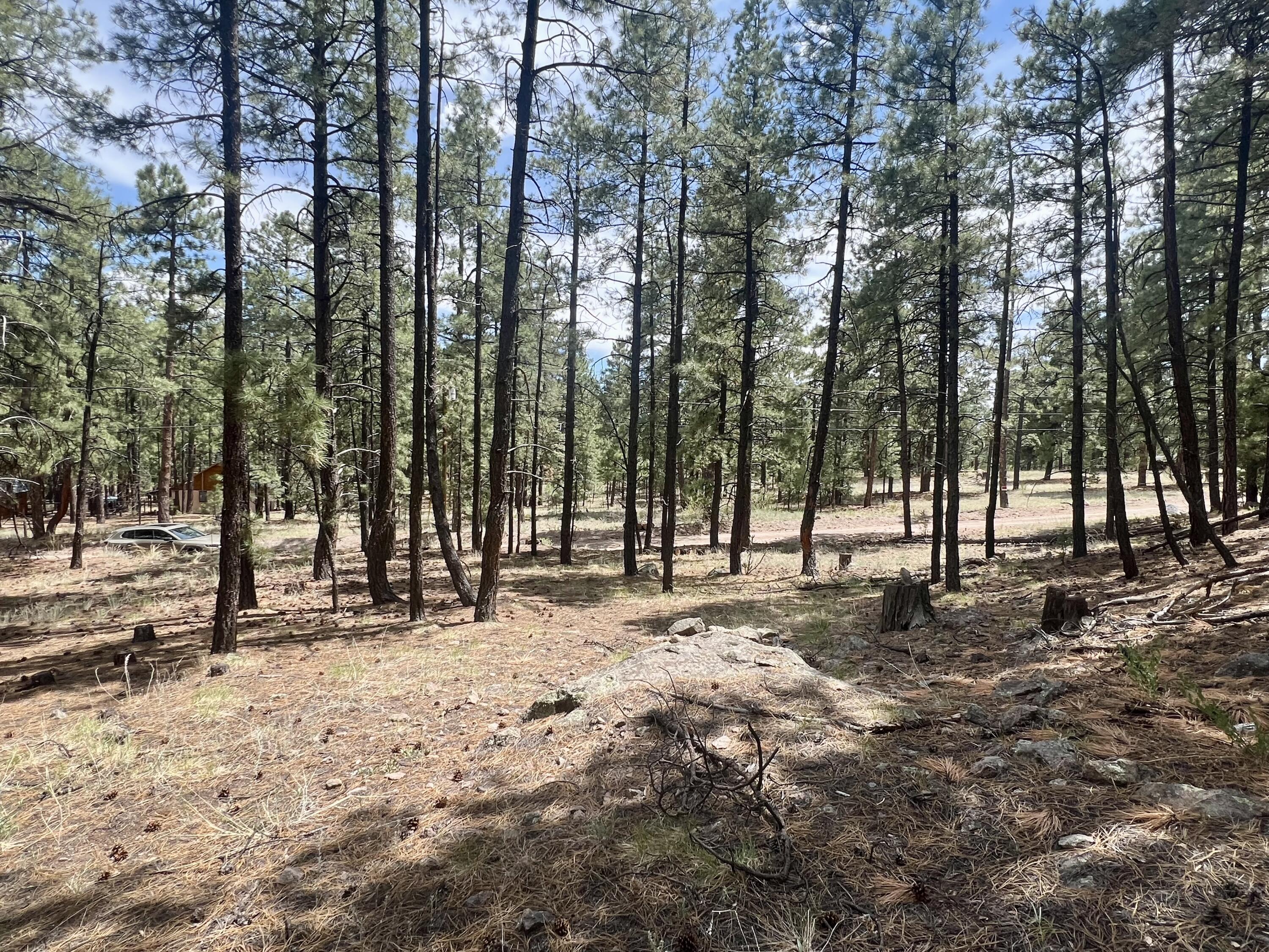 Lot 36 Spruce Loop