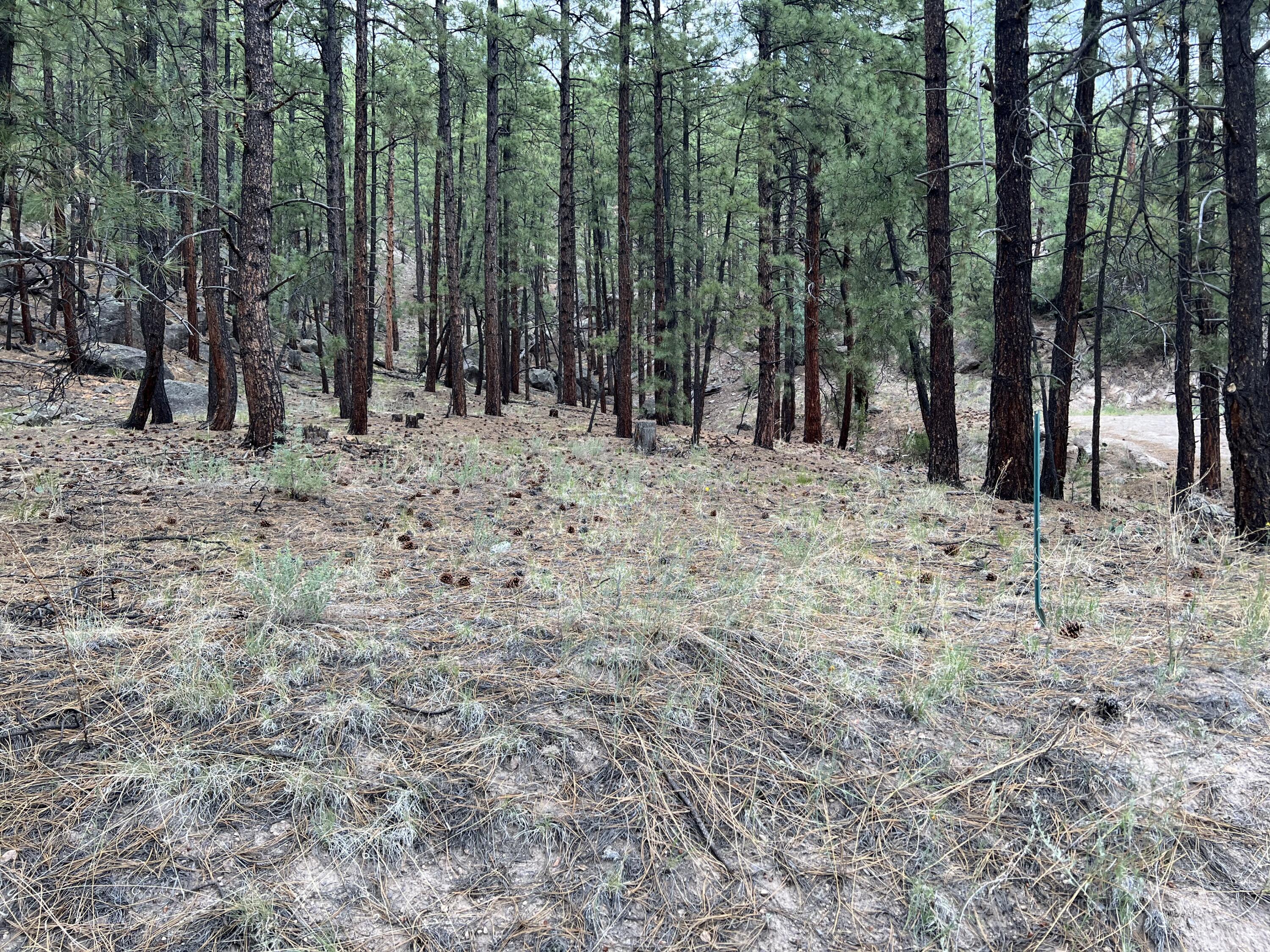 Lot 36 Spruce Loop