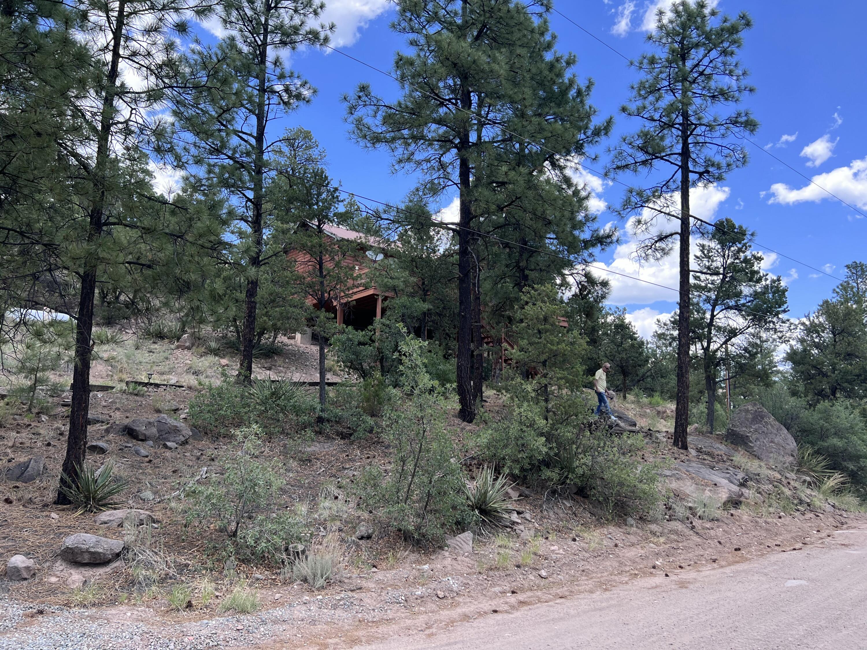 1691 PONDEROSA Drive