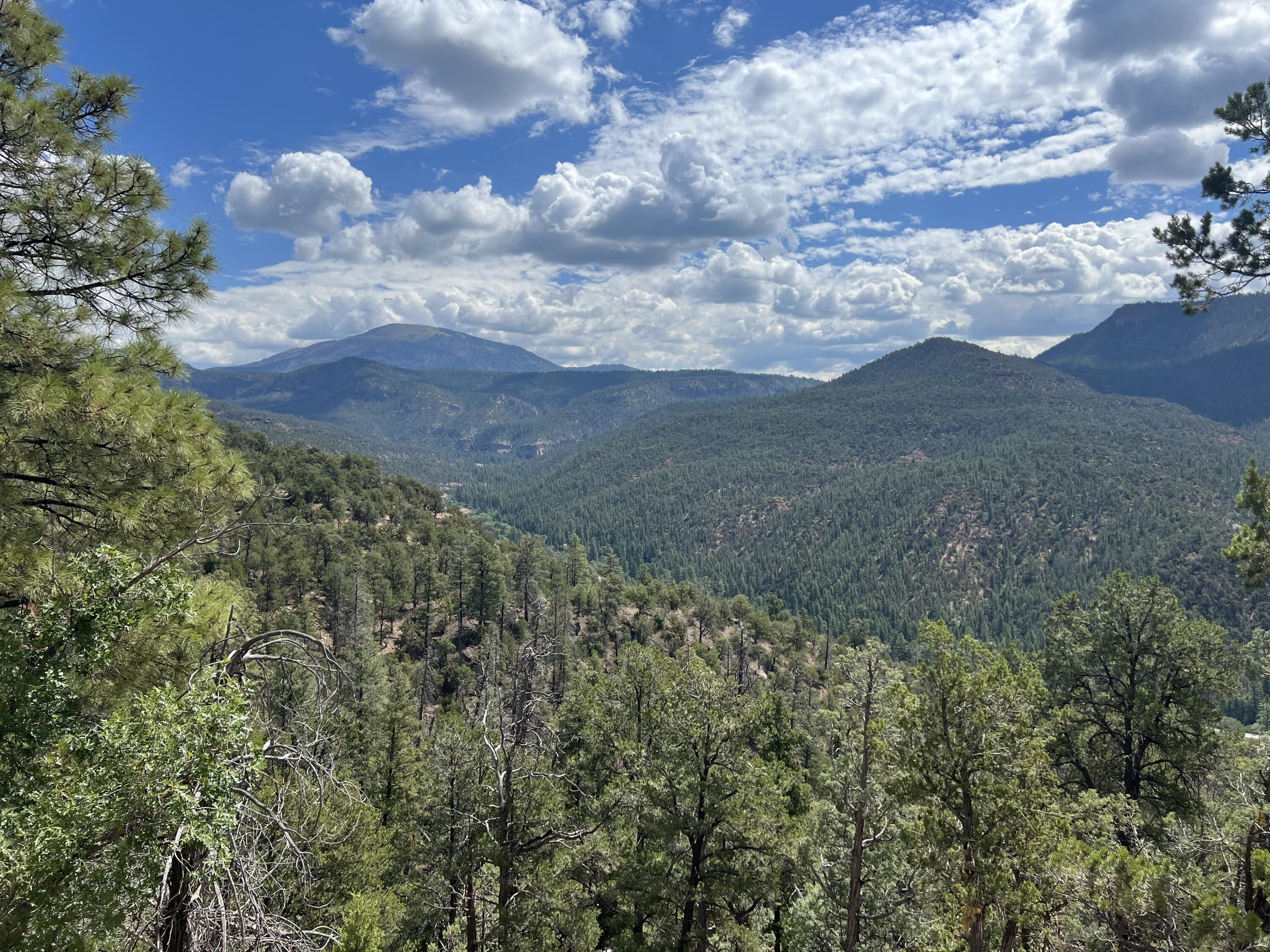 1691 PONDEROSA Drive