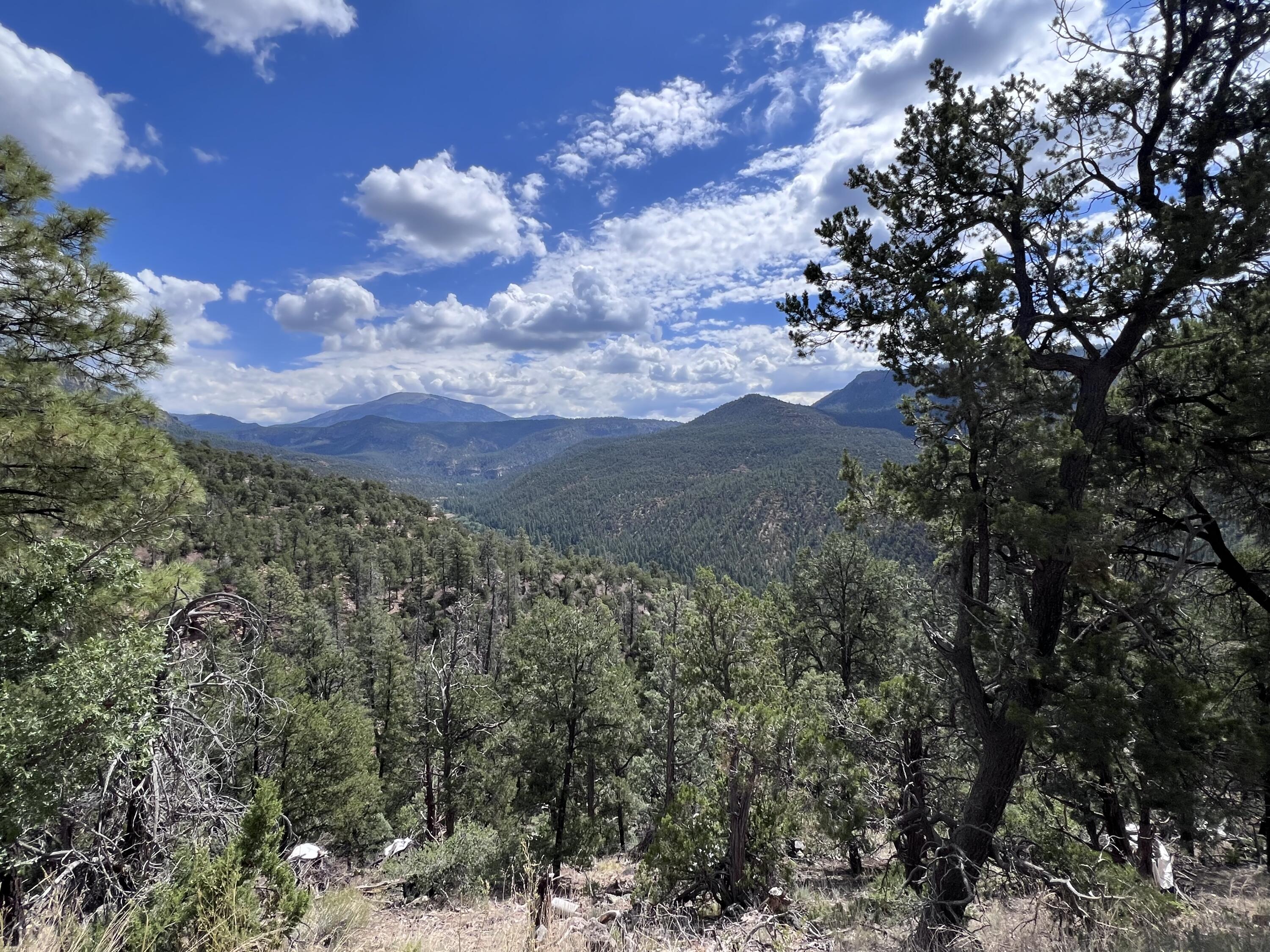 1691 PONDEROSA Drive