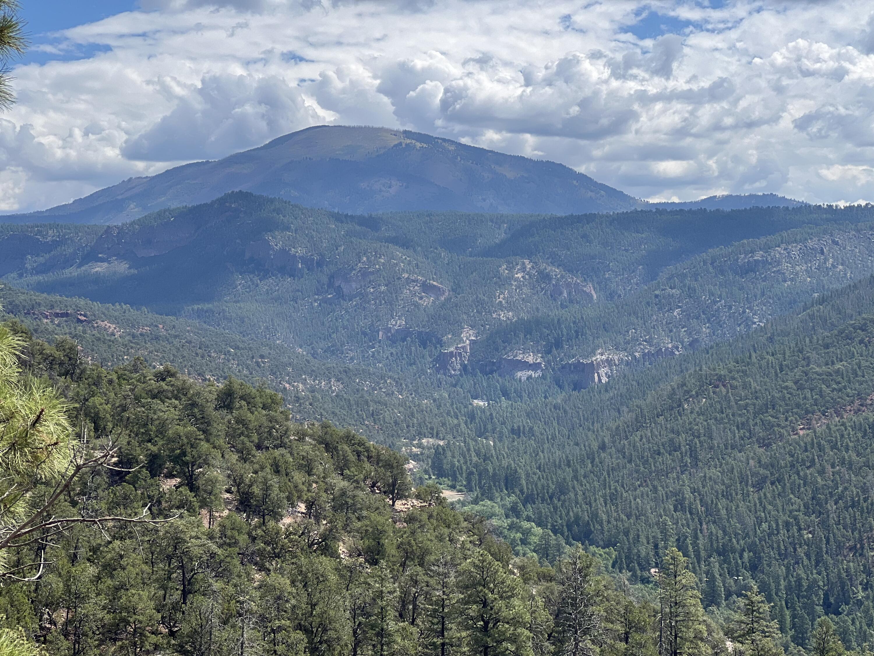 1691 PONDEROSA Drive