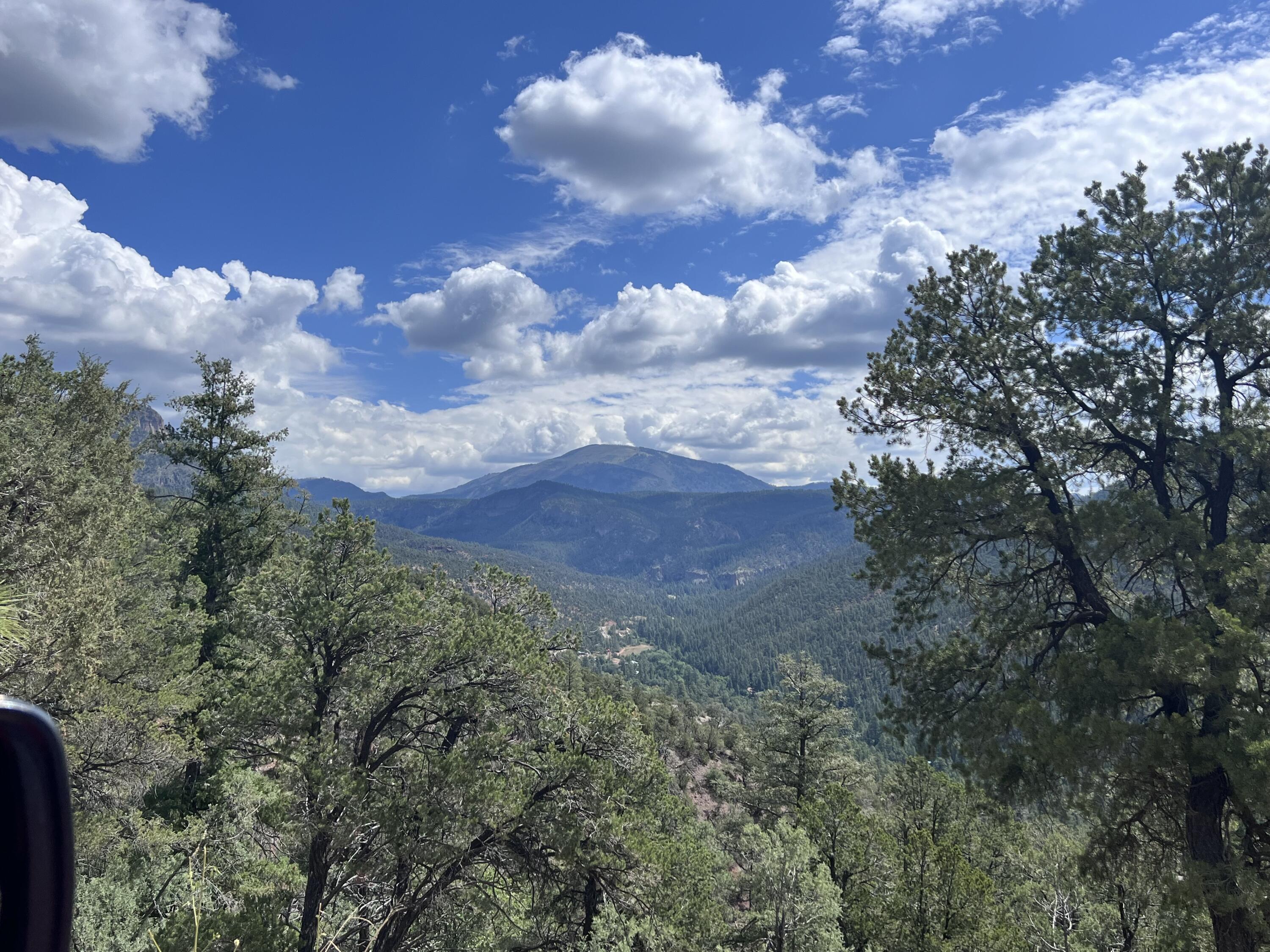 1691 PONDEROSA Drive