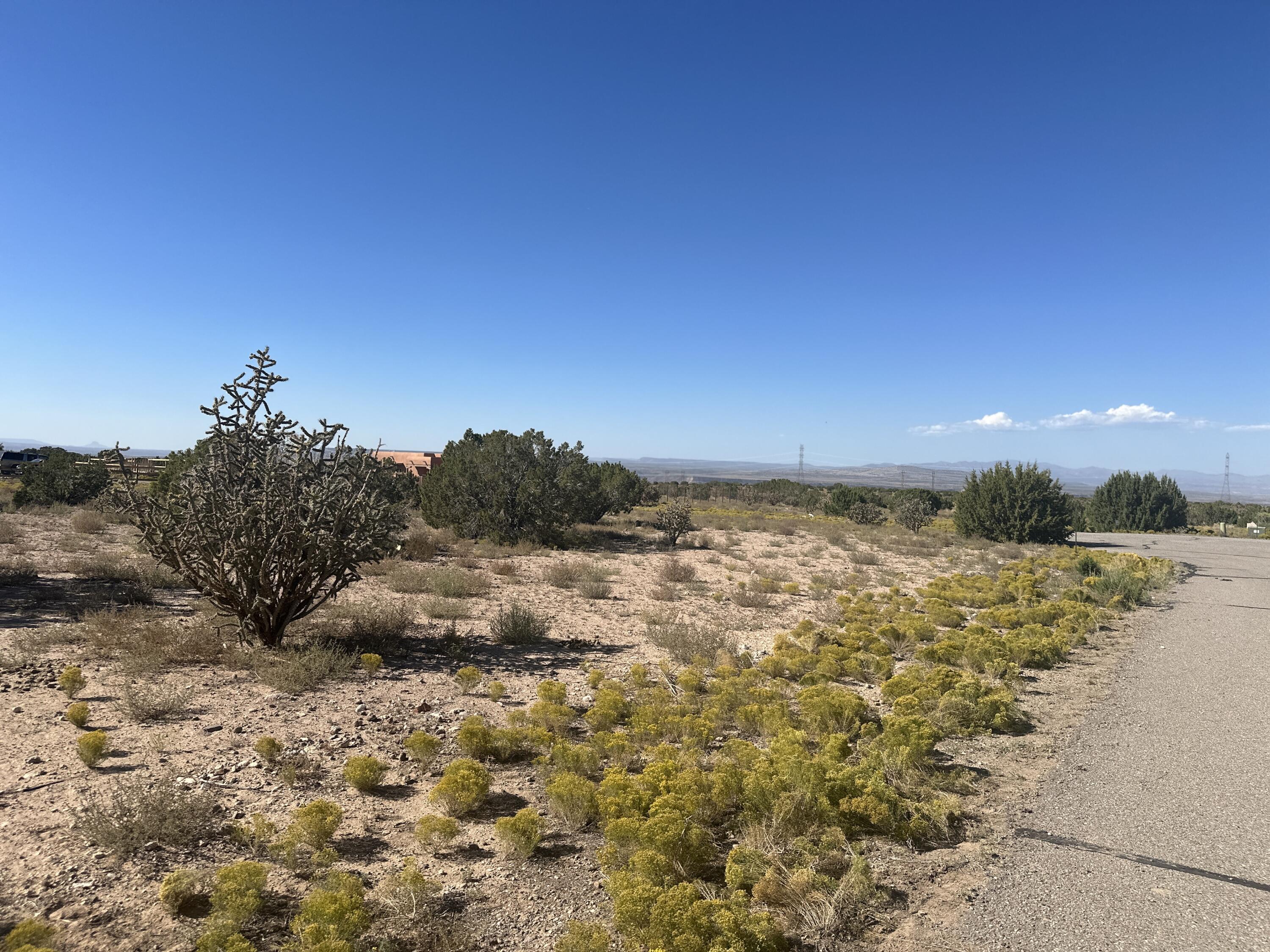 5 Horseshoe Loop