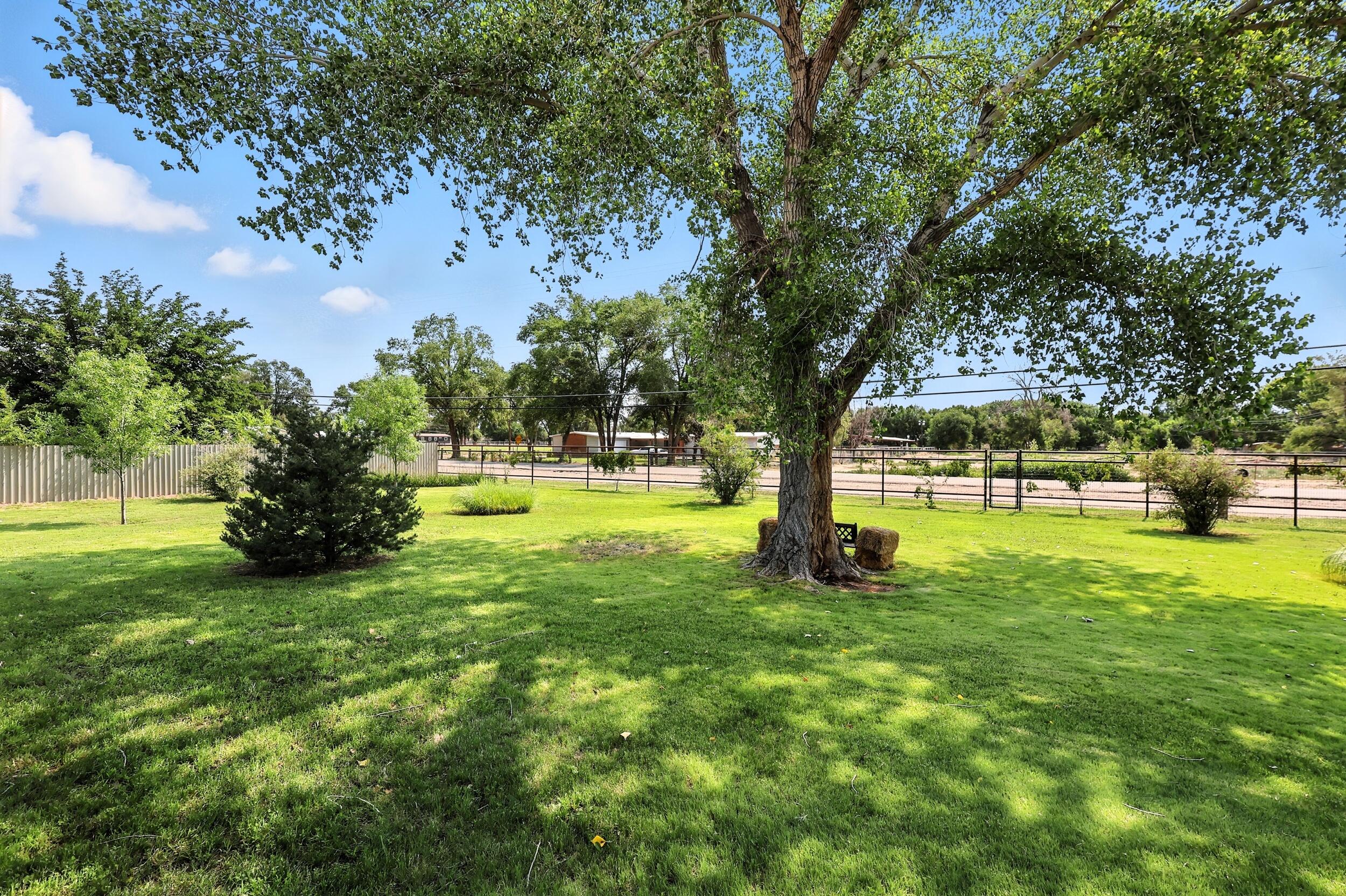 965 W BOSQUE Loop