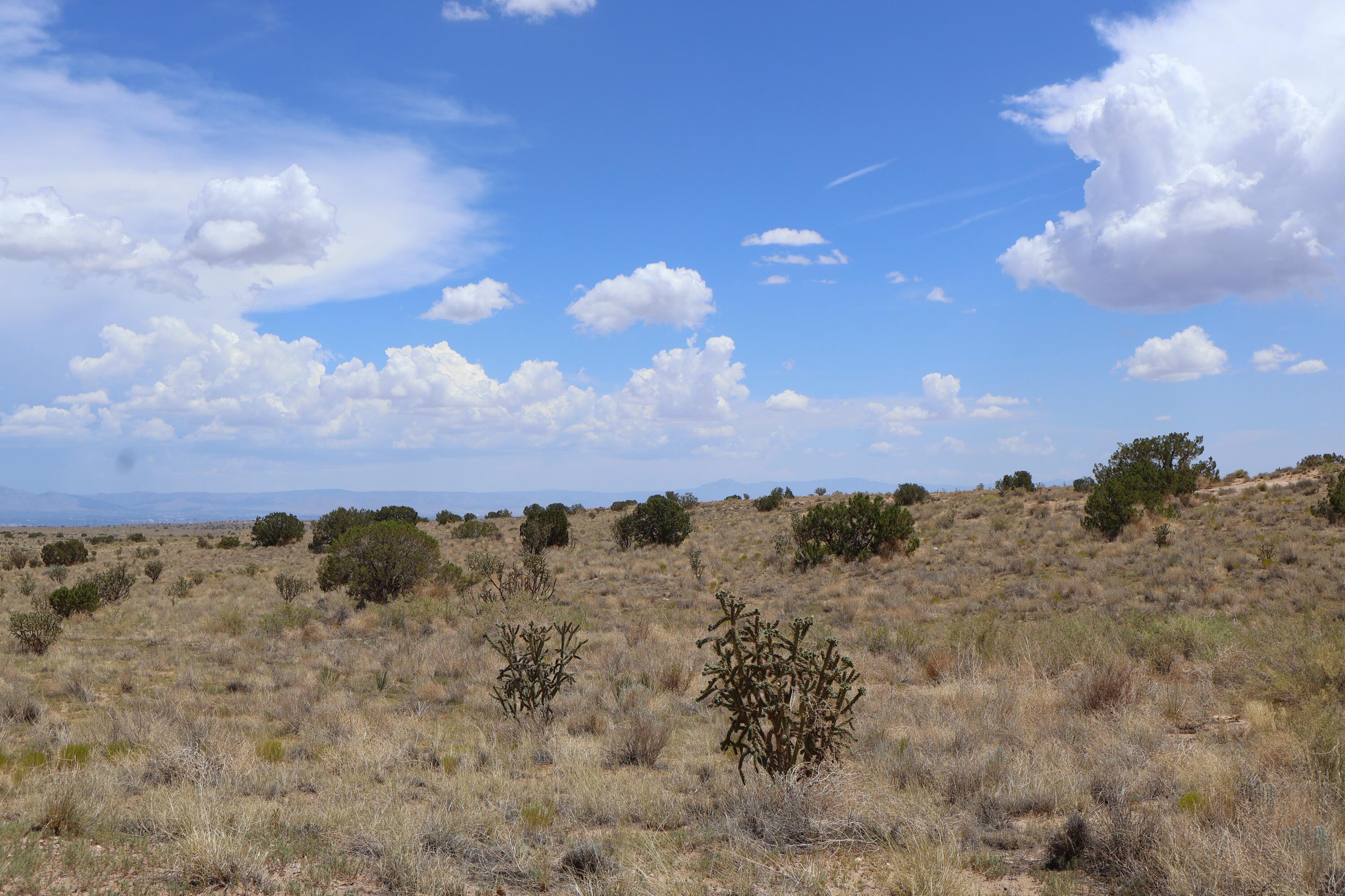 Estates Lot 20 SW