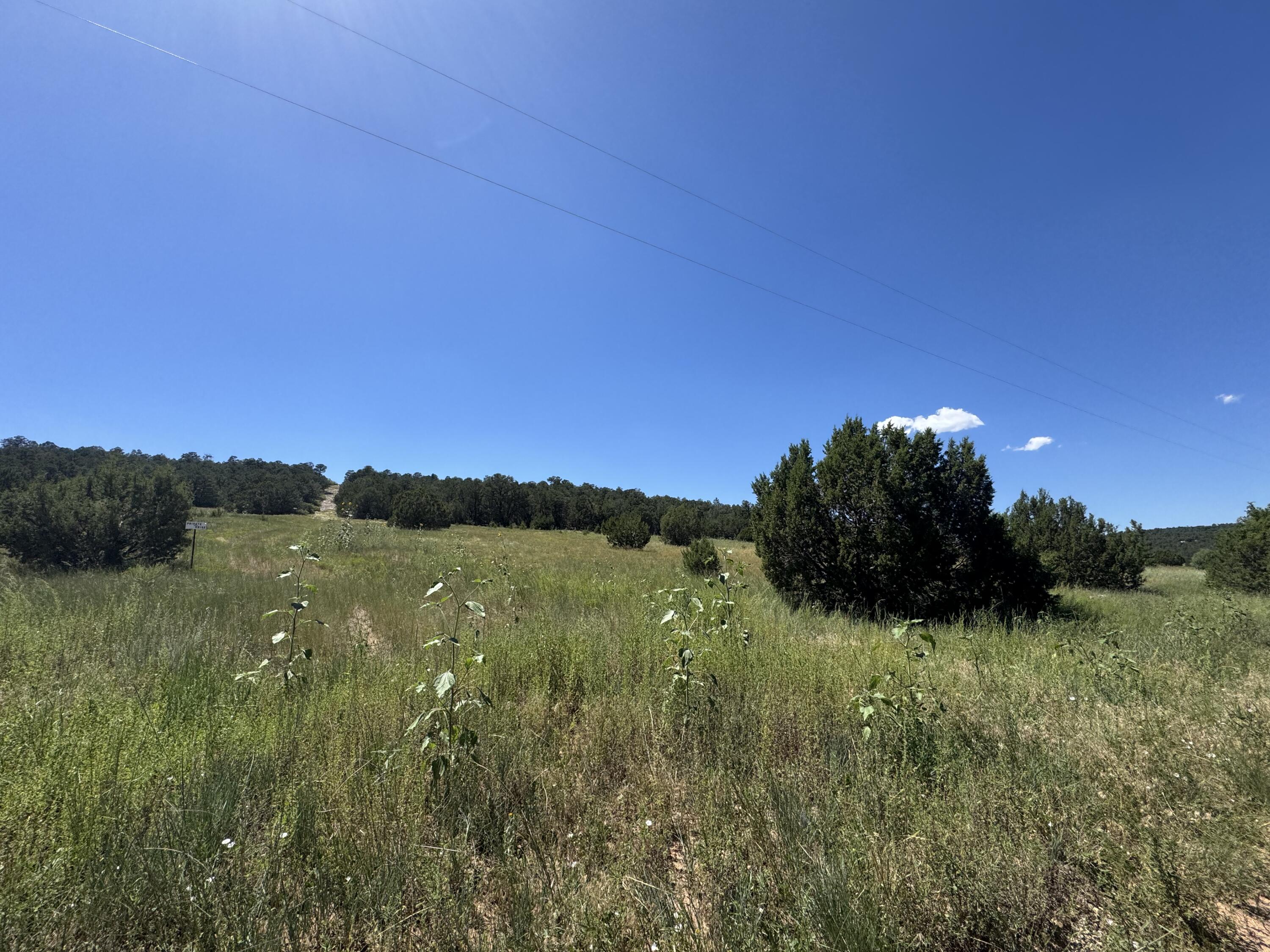 Mountain Valley