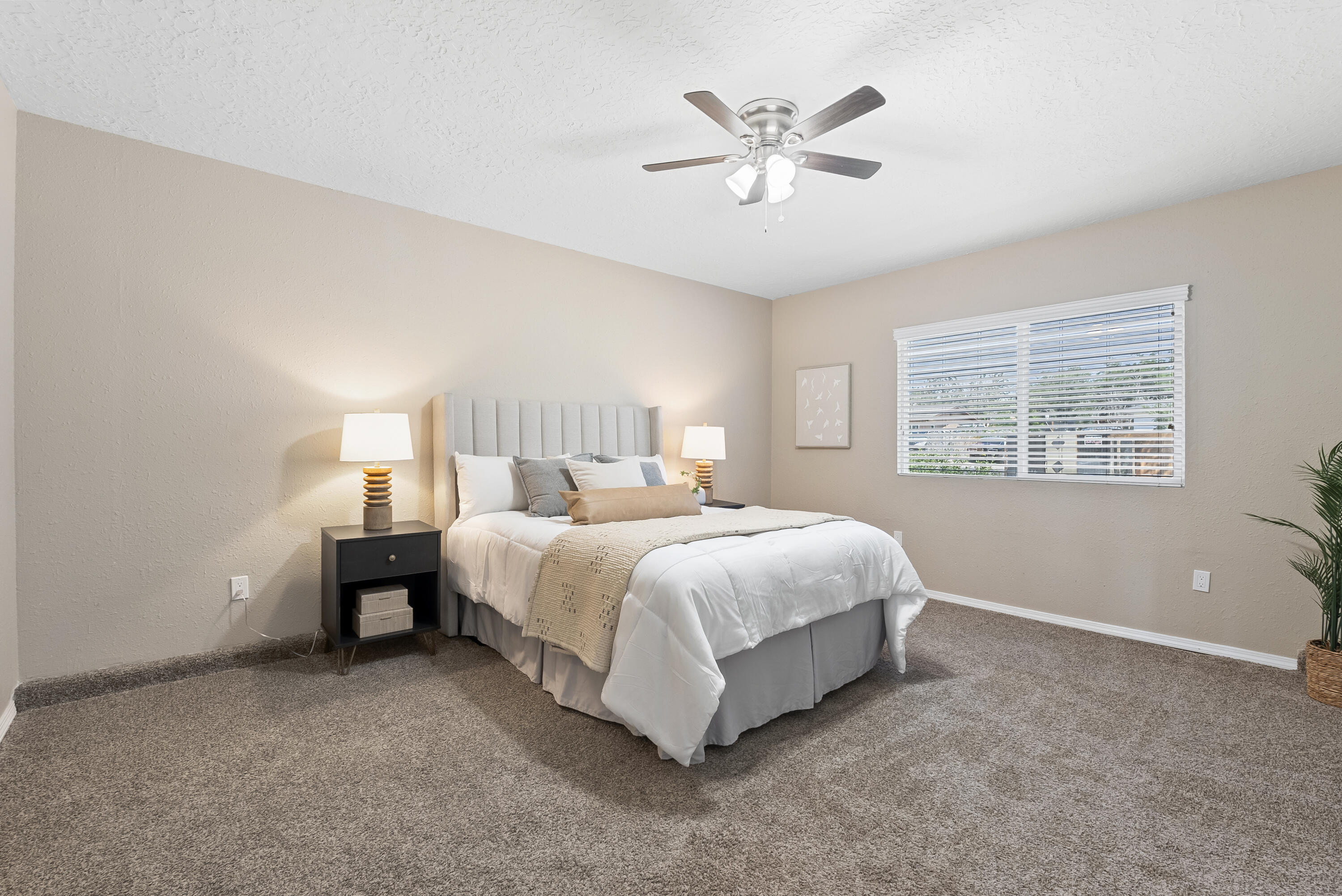 10608 CALLE DE ELENA