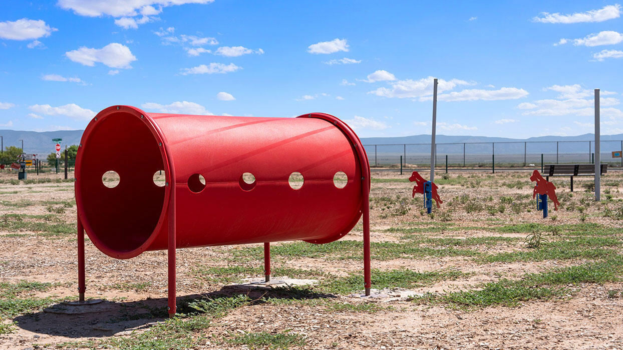 2119 Stieglitz Avenue SE