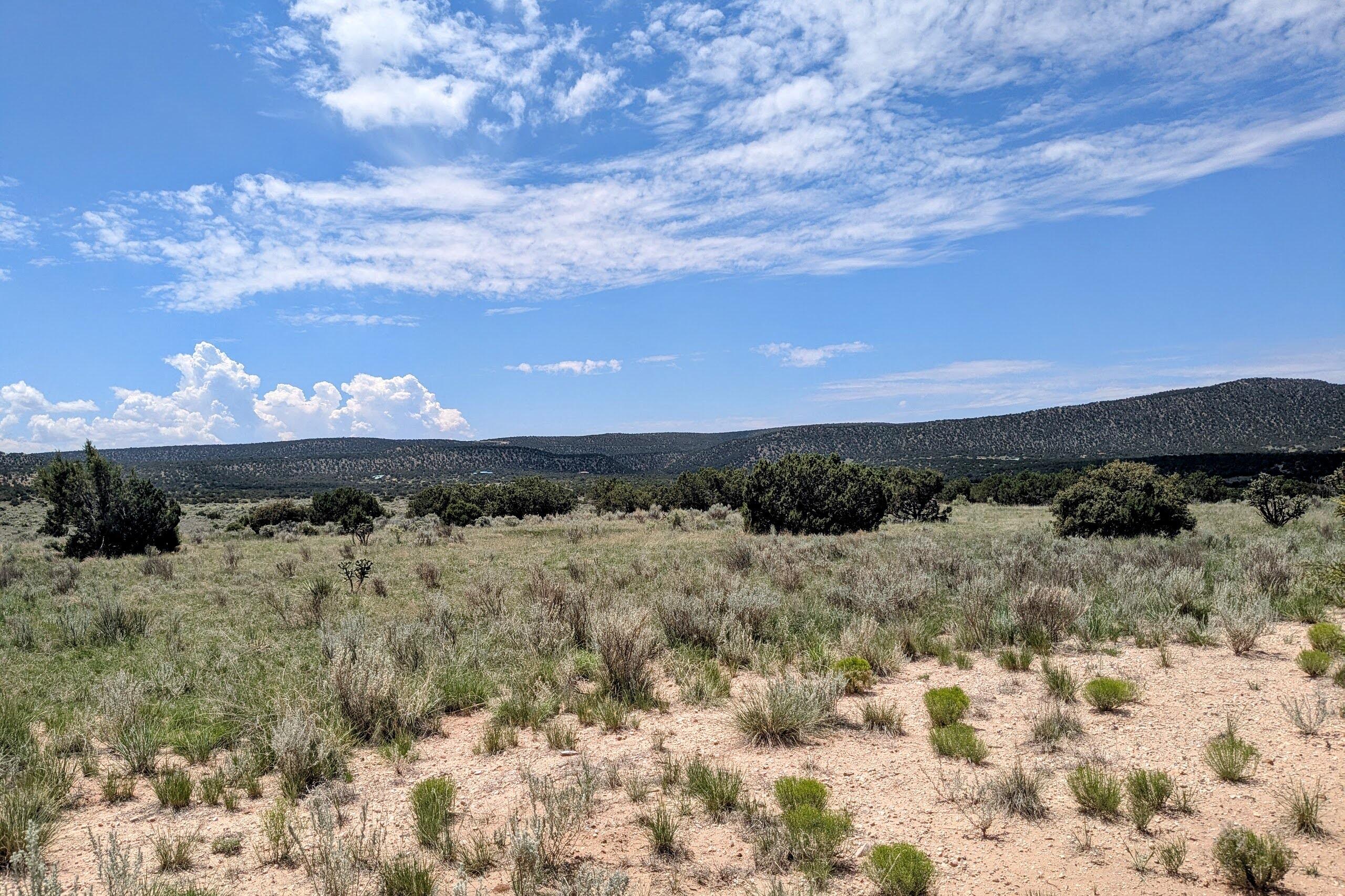 1418 JUMANO Trail