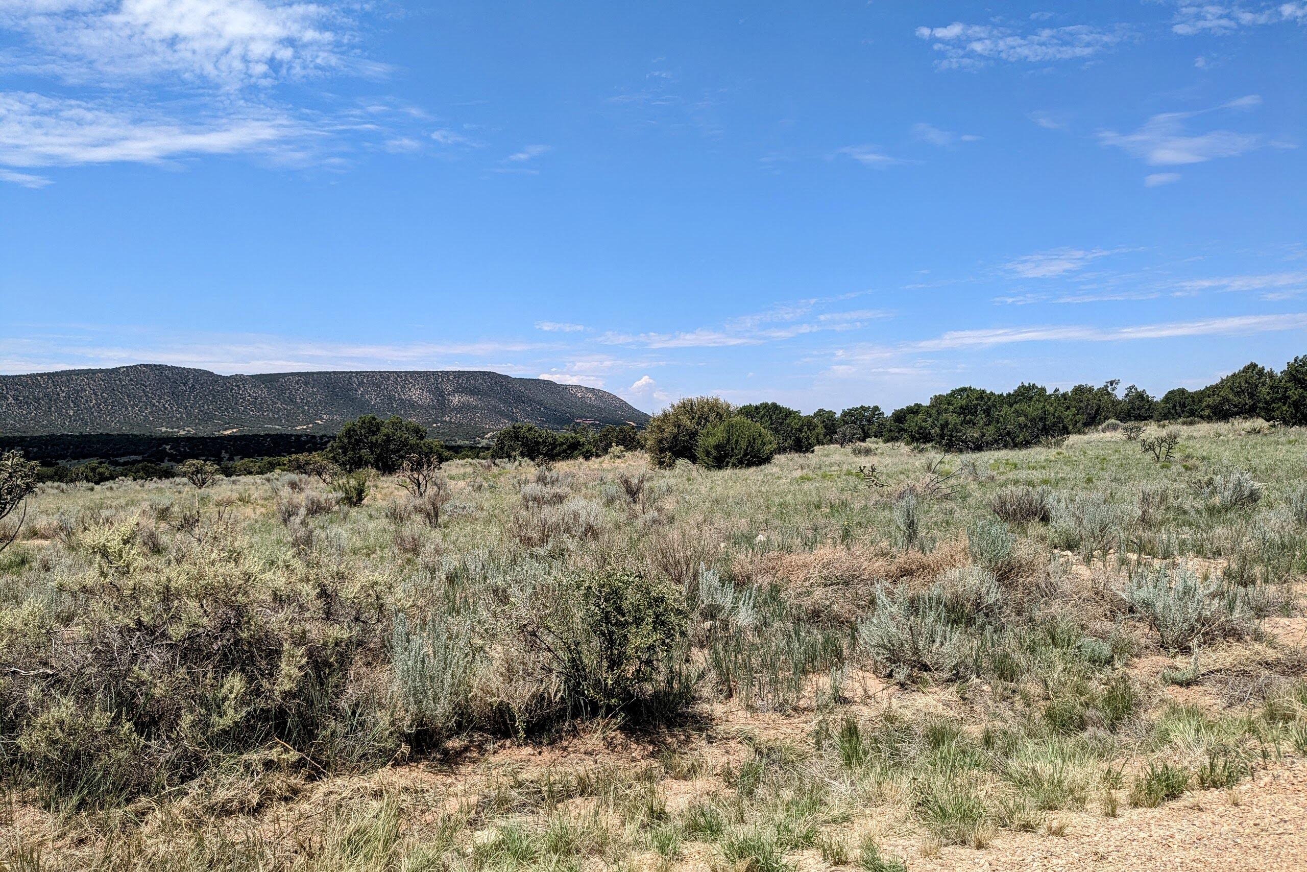 1418 JUMANO Trail