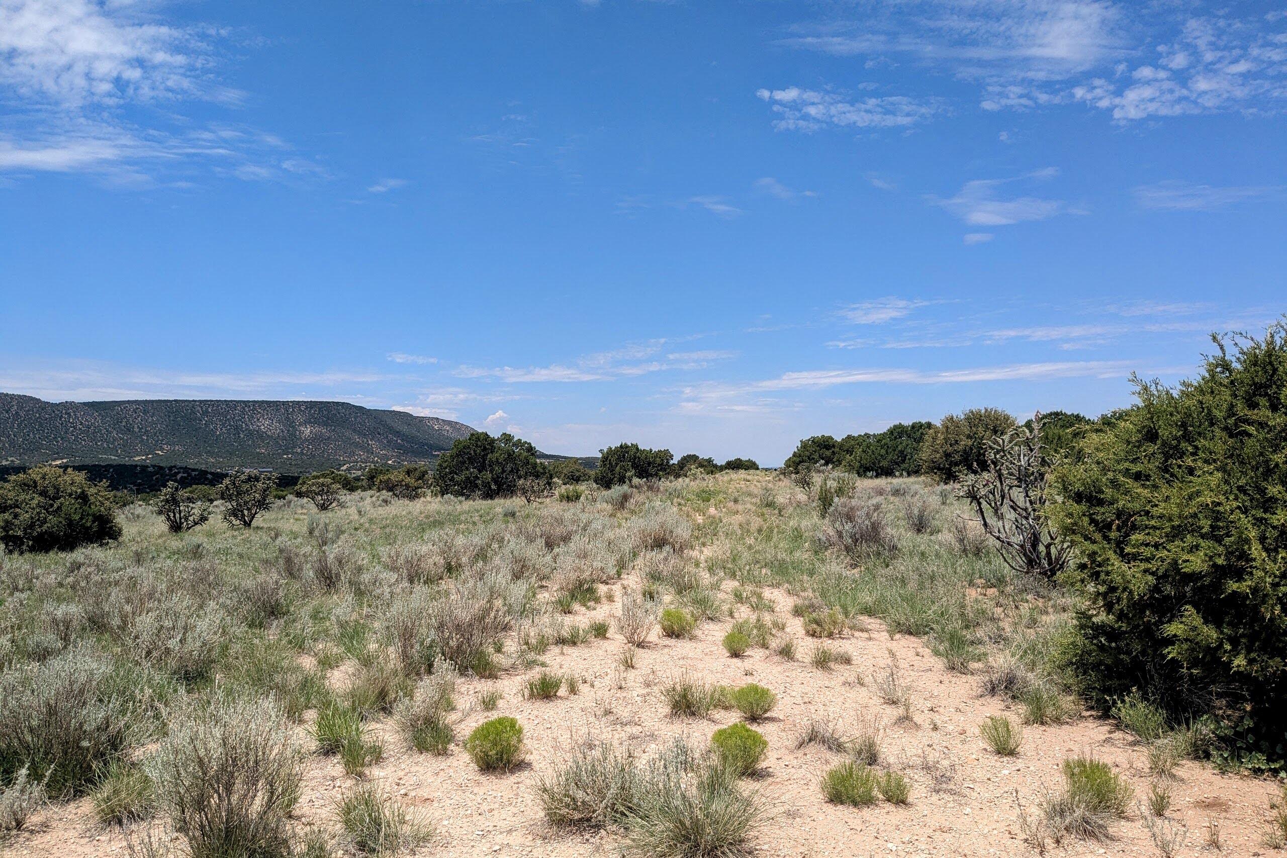 1418 JUMANO Trail