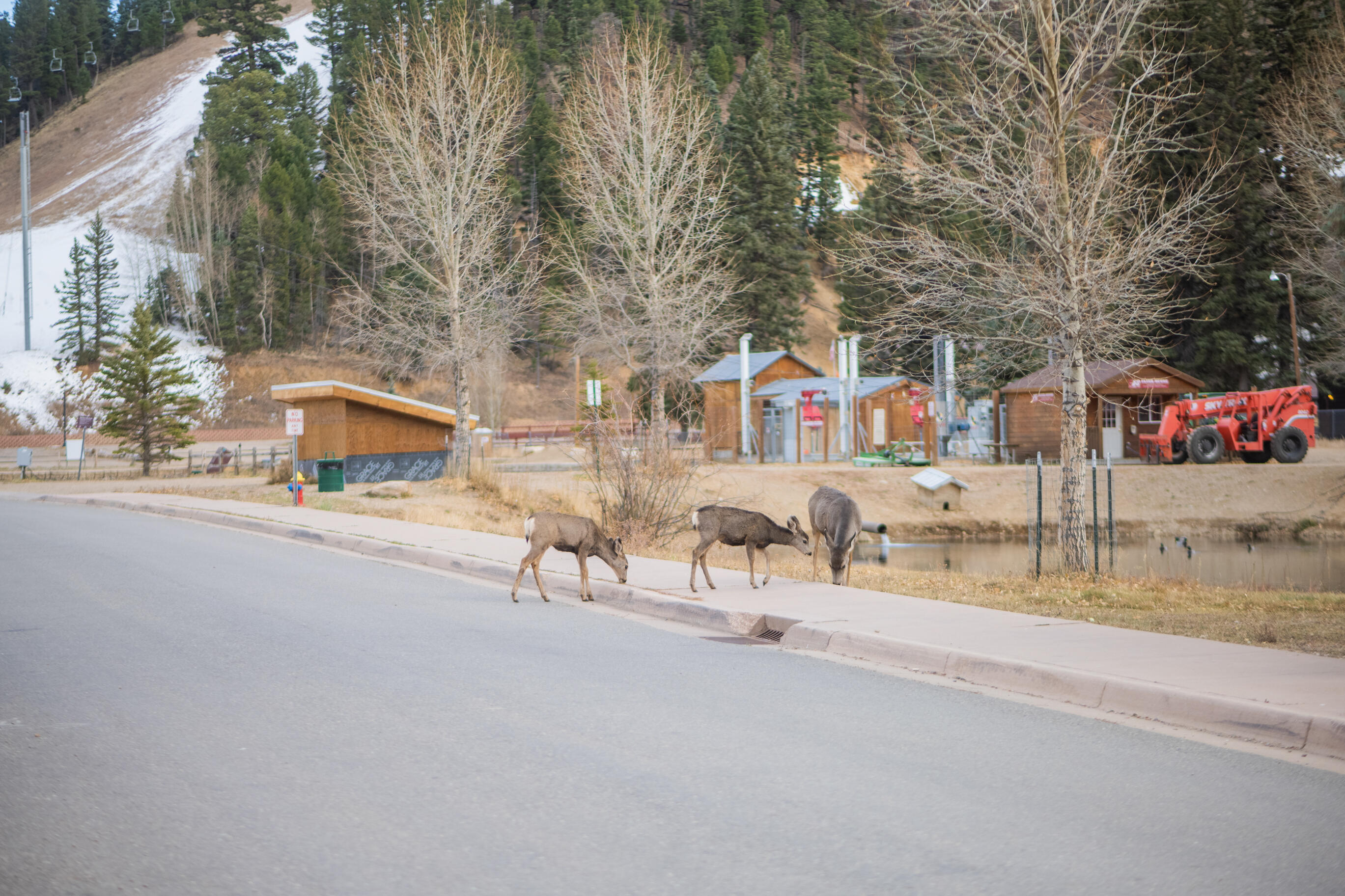 610 Claim Jumper Street