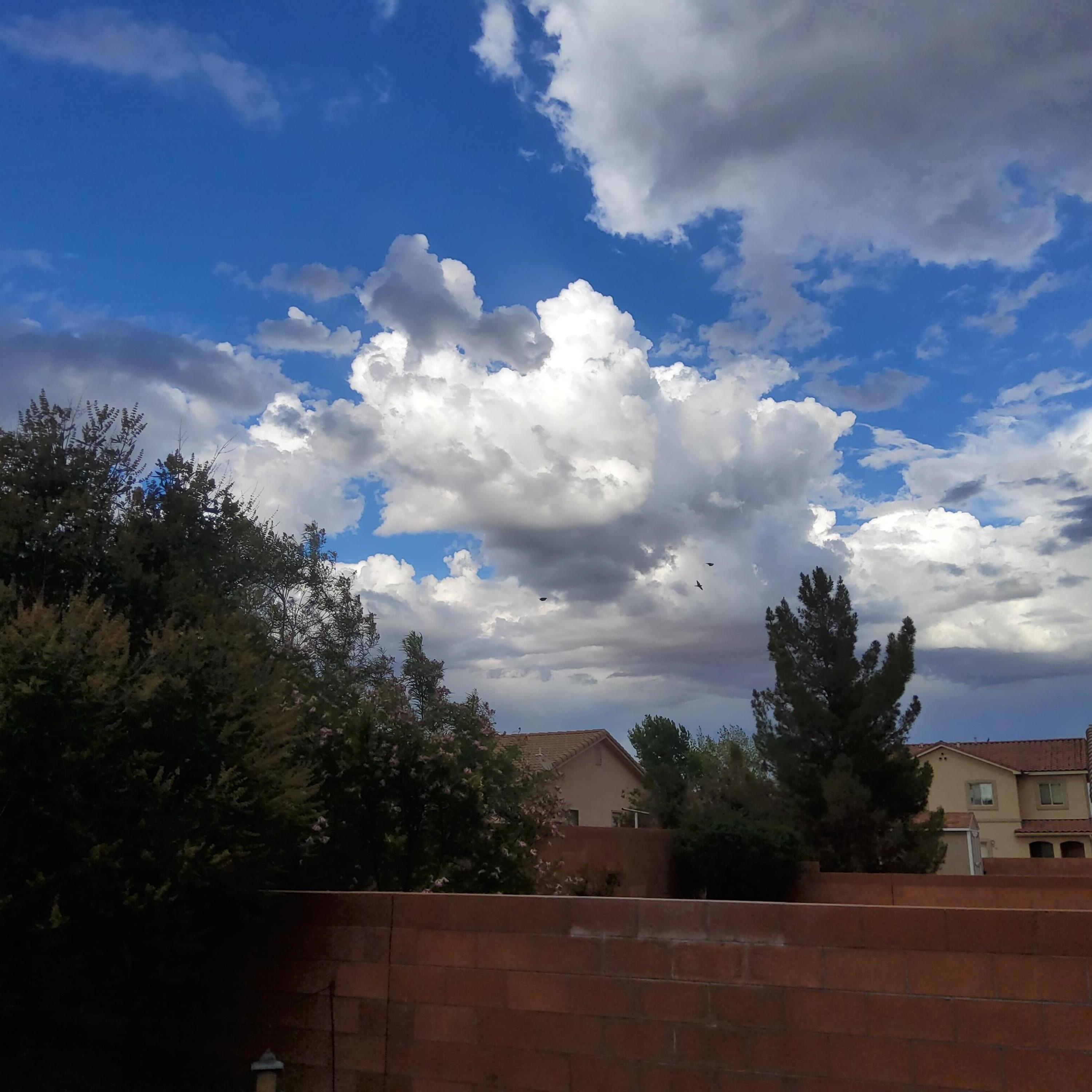 3198 Prairie Ridge Street SW