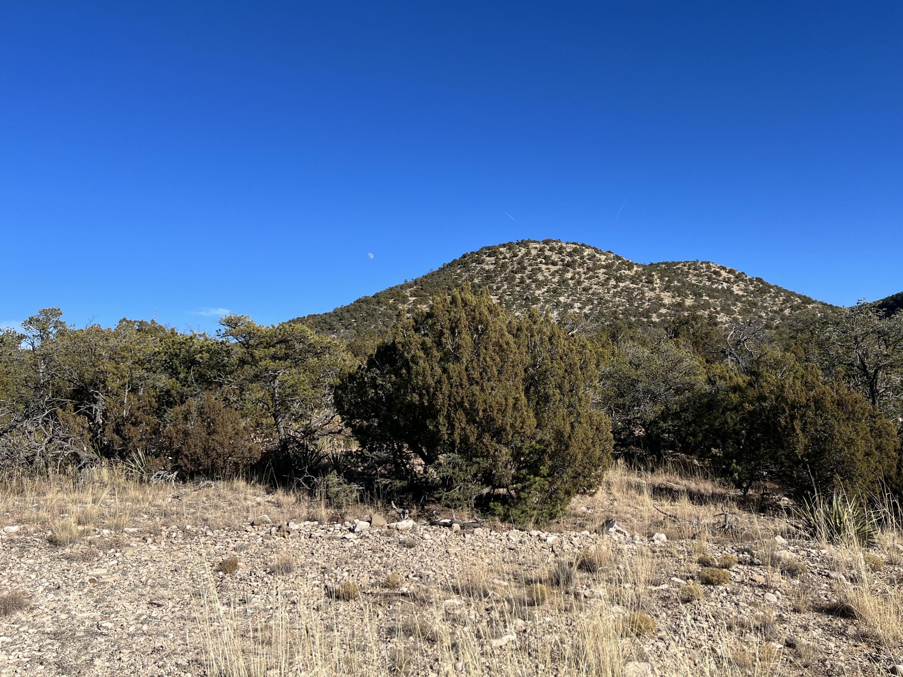 770 DEER CANYON Trail