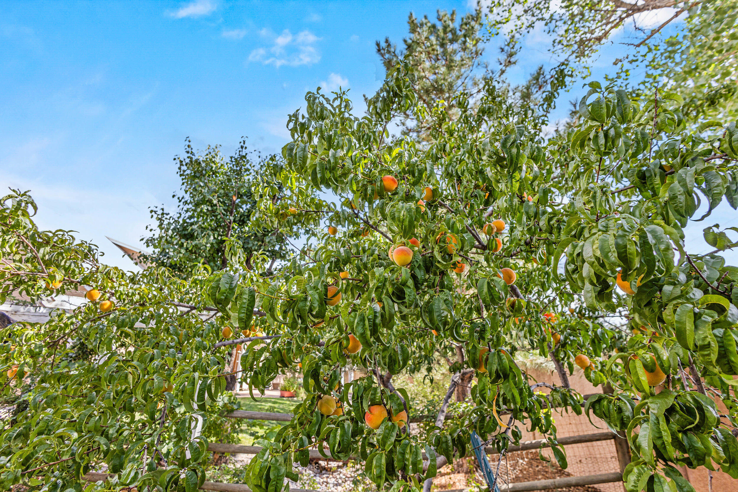 6509 CASA DEL RIO Trail NW