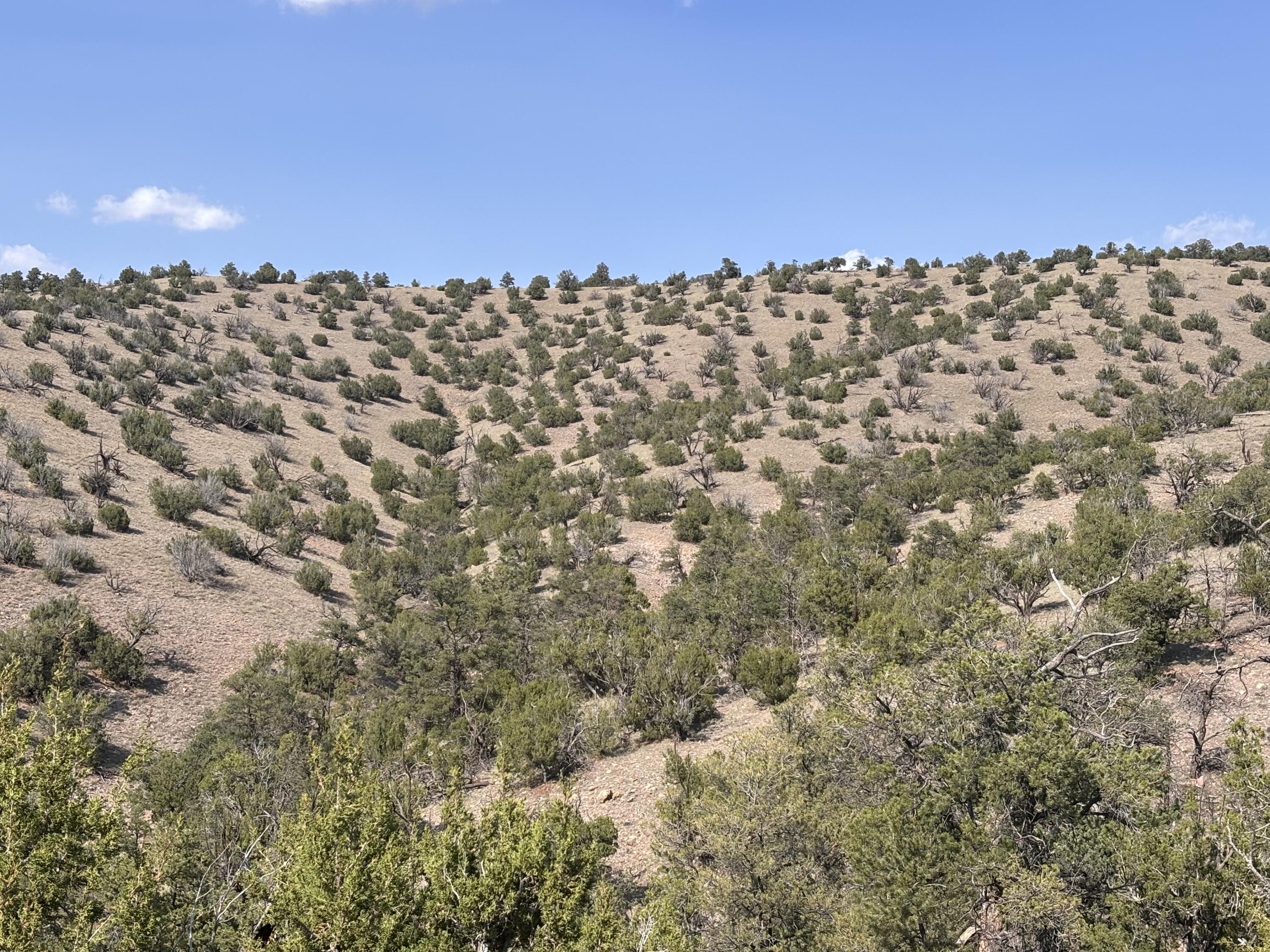 Lot 153 Pinon Springs Ranch
