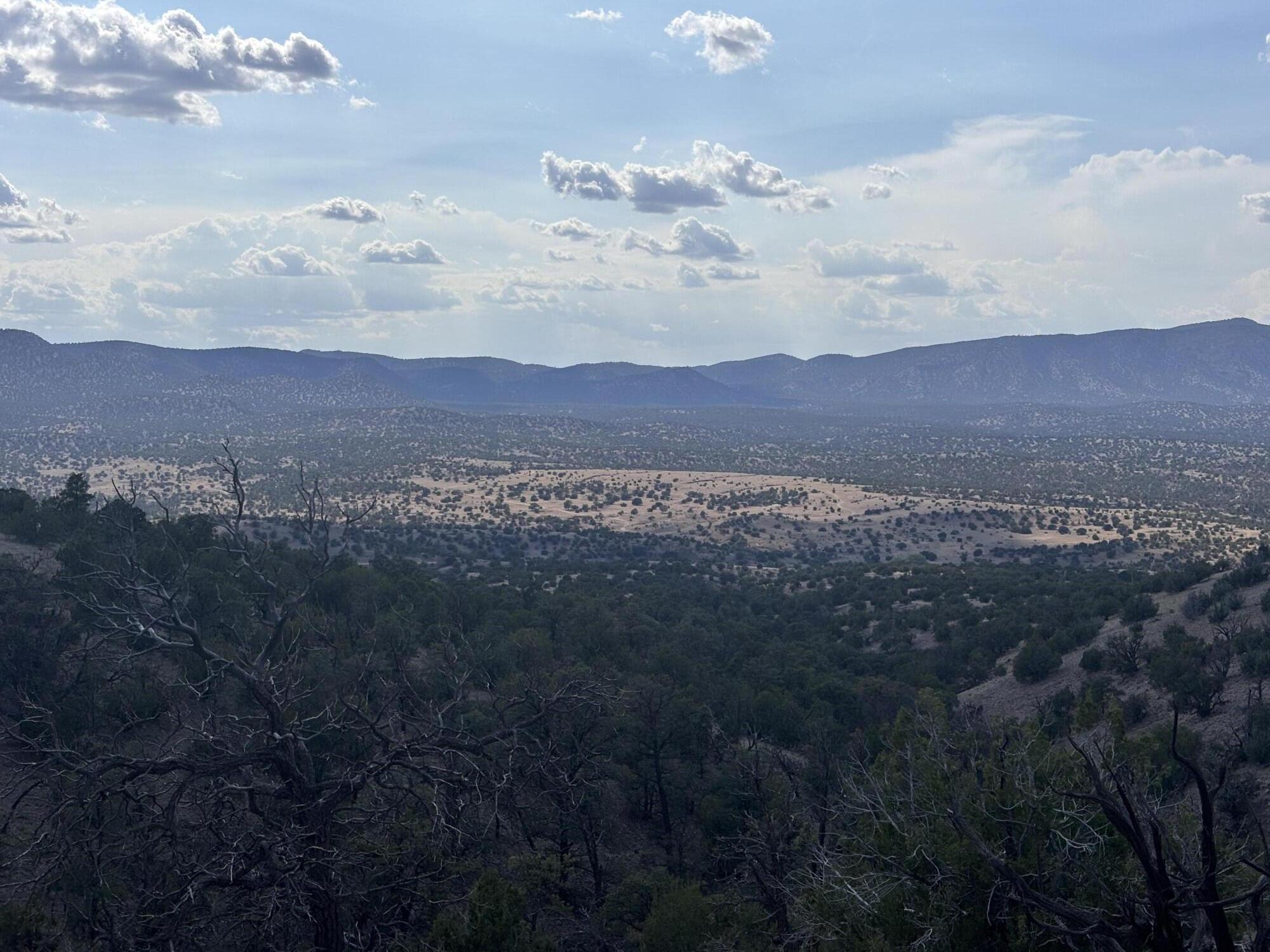 Lot 153 Pinon Springs Ranch