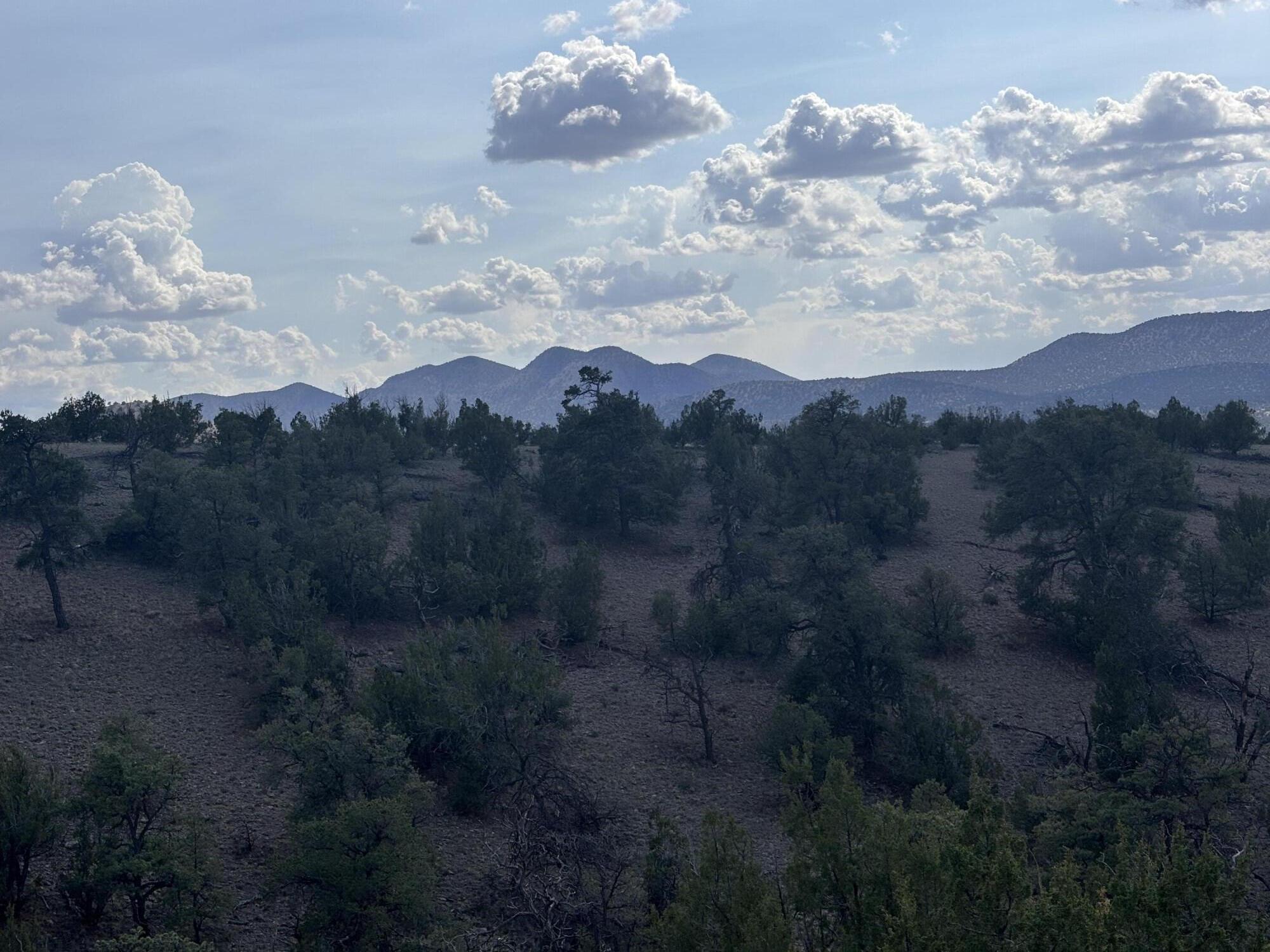Lot 153 Pinon Springs Ranch