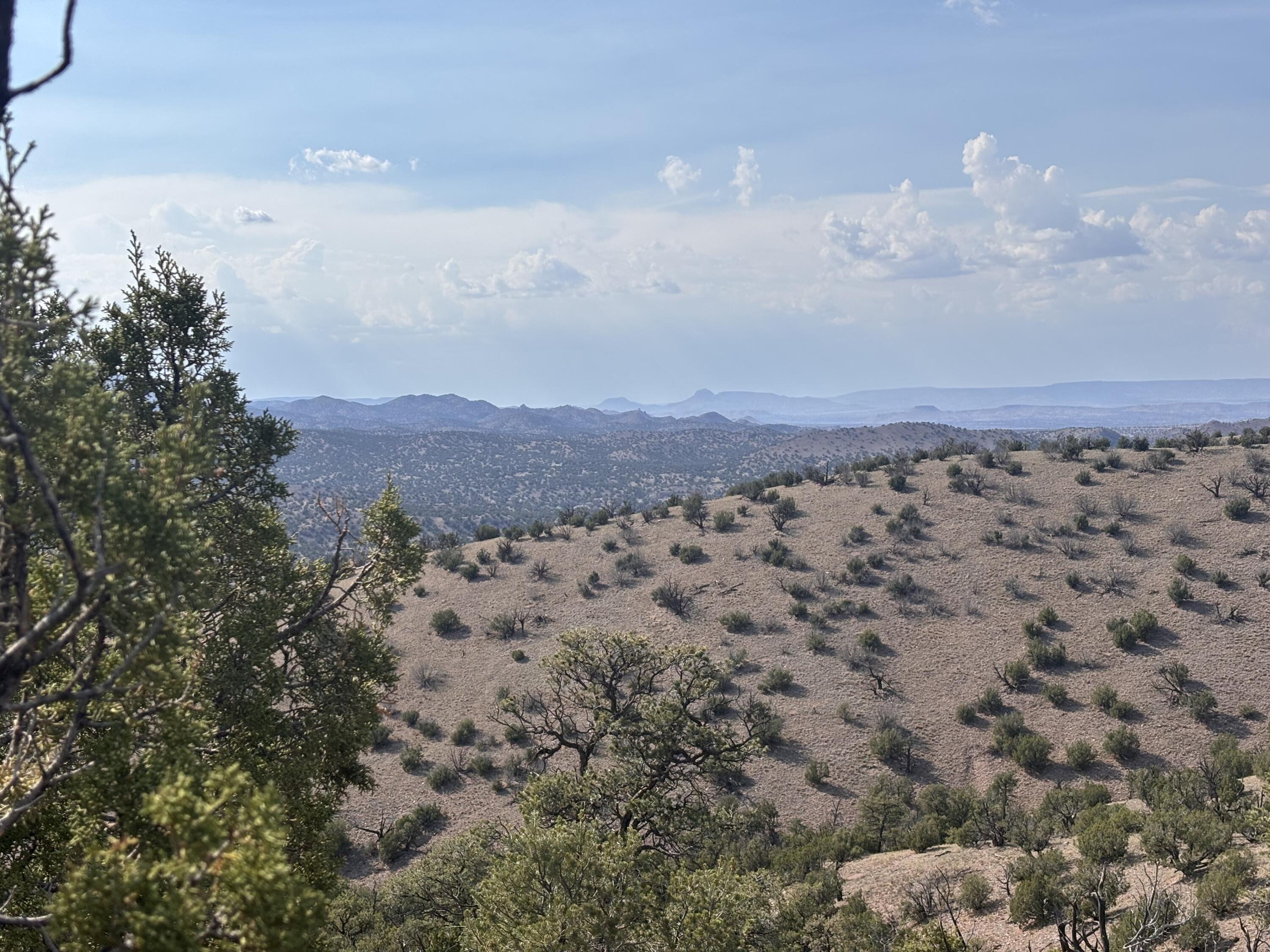Lot 153 Pinon Springs Ranch