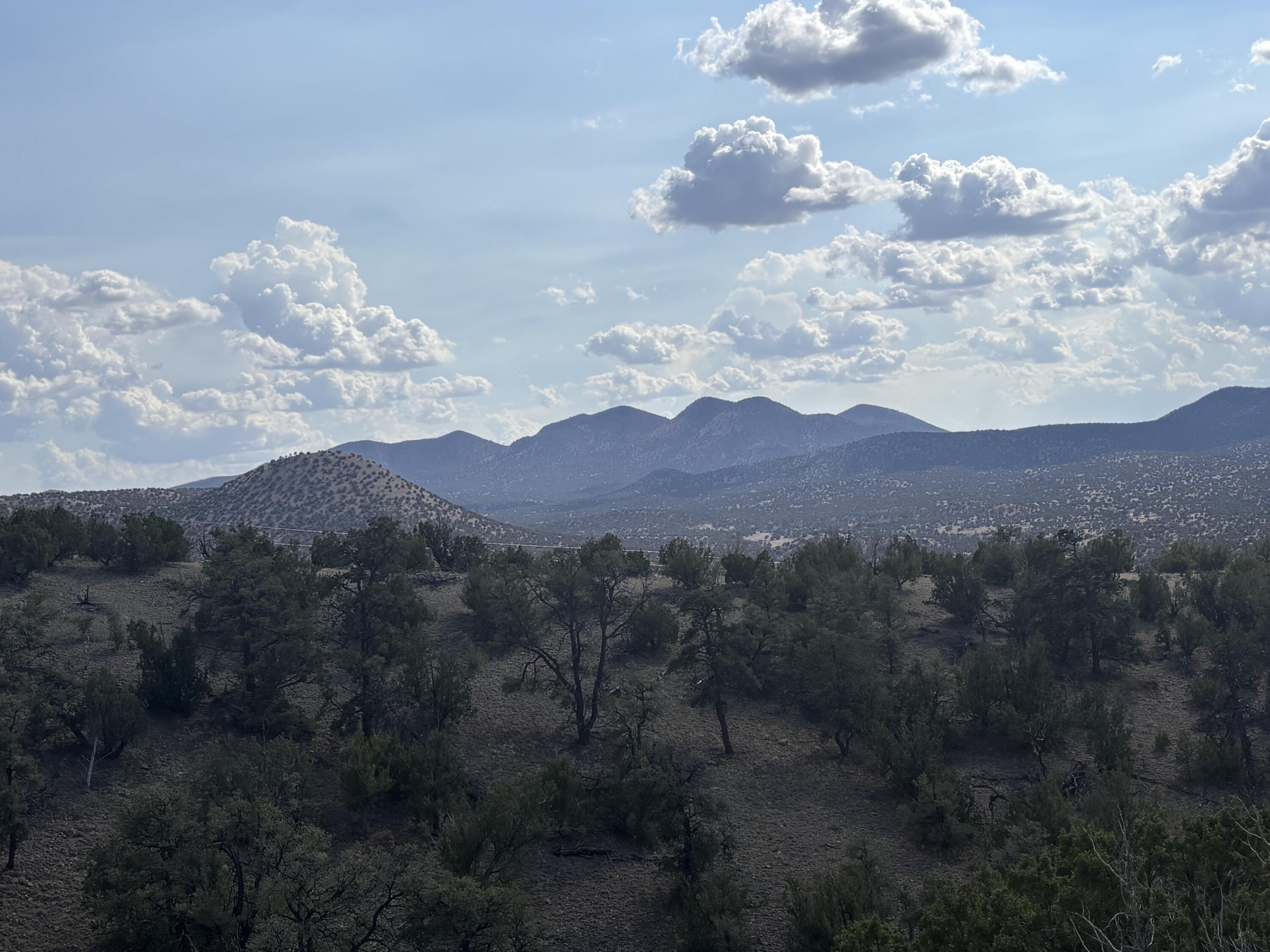 Lot 153 Pinon Springs Ranch