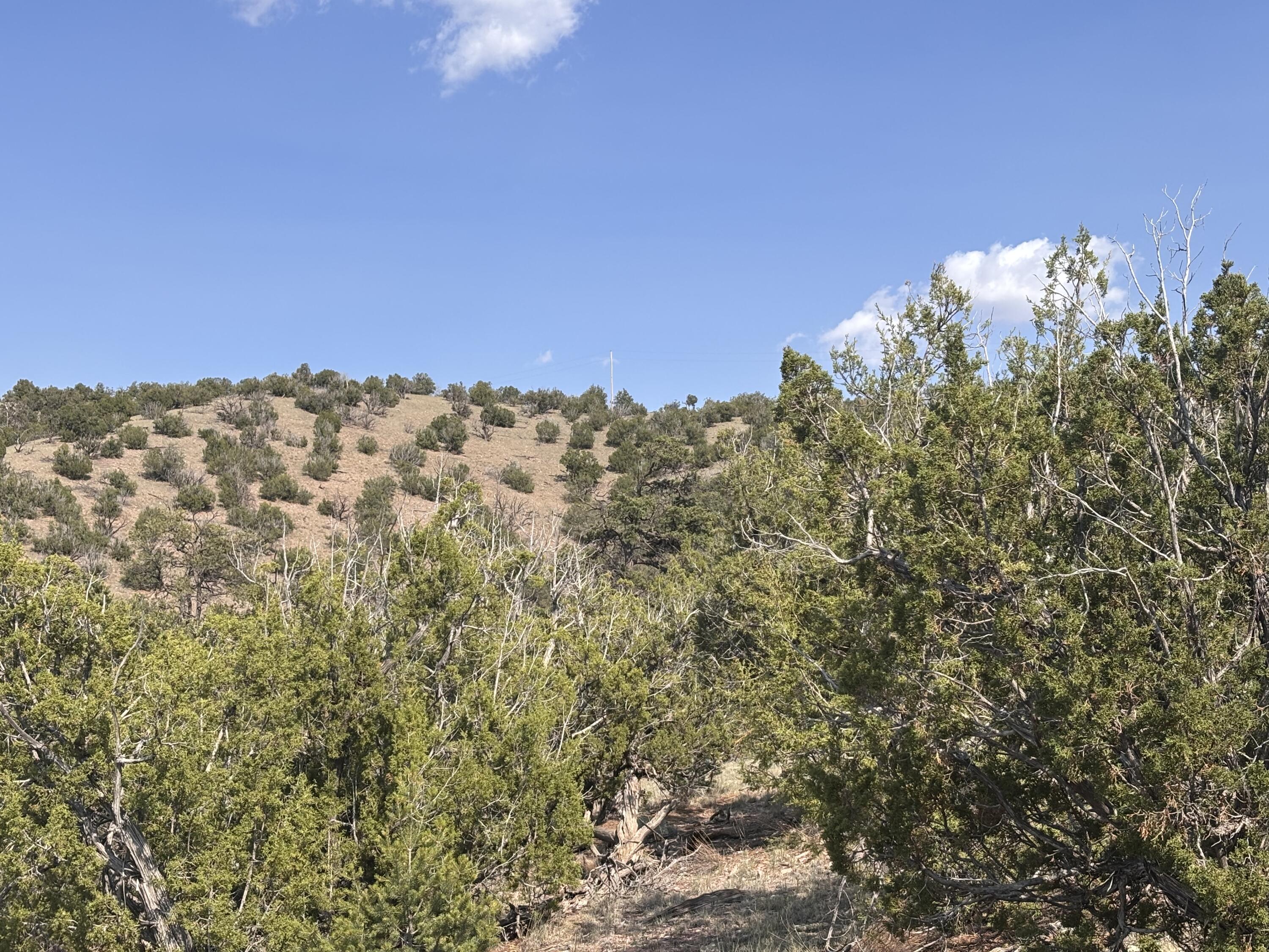 Lot 153 Pinon Springs Ranch