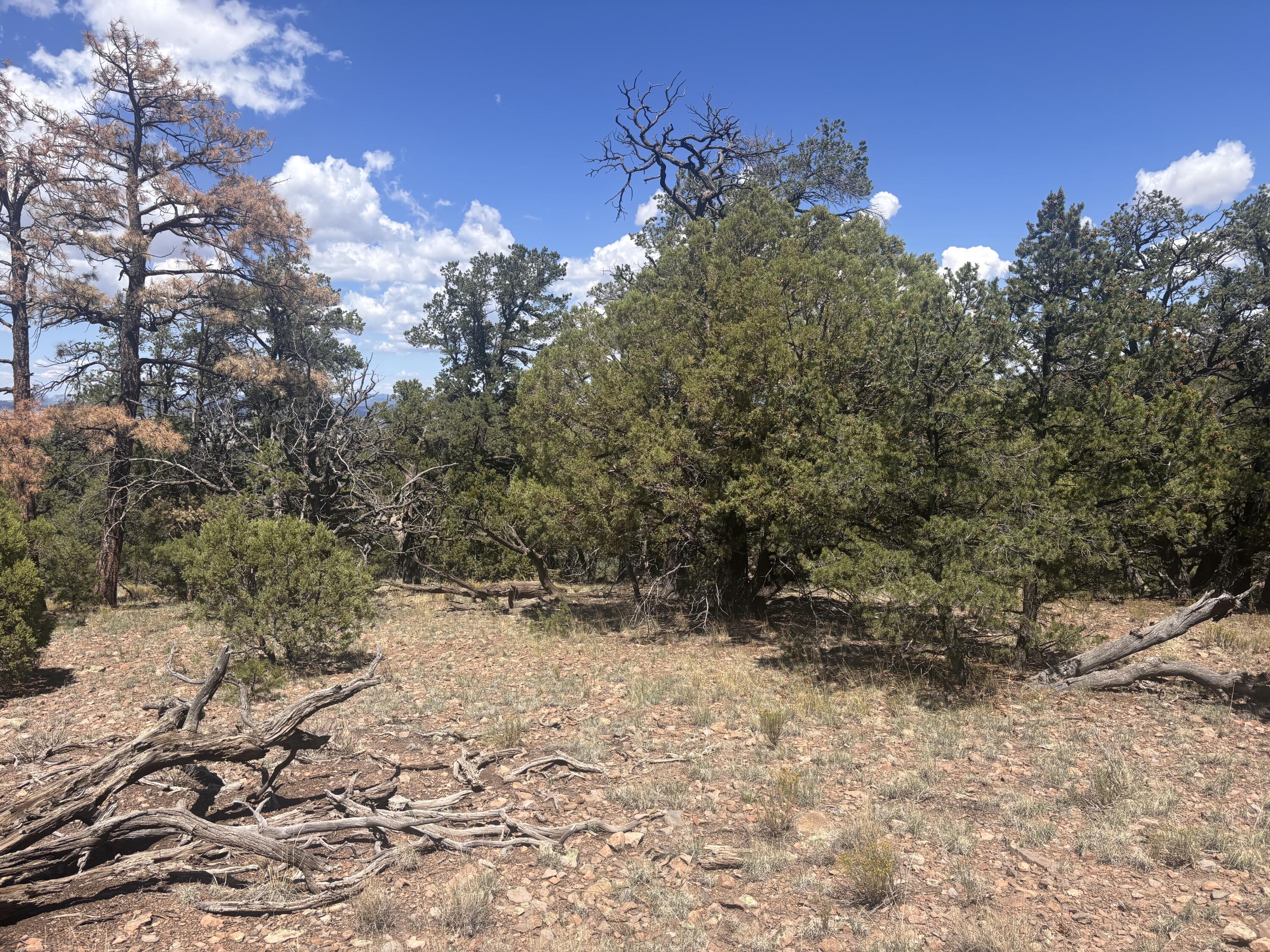 Lot 23 Tee Pee Ranch