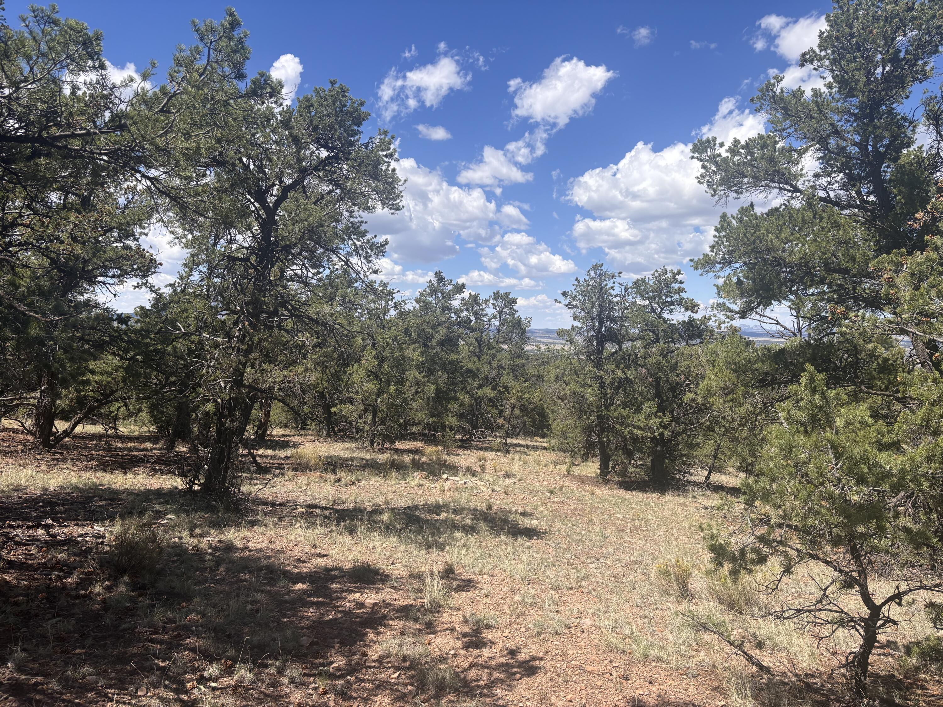 Lot 23 Tee Pee Ranch