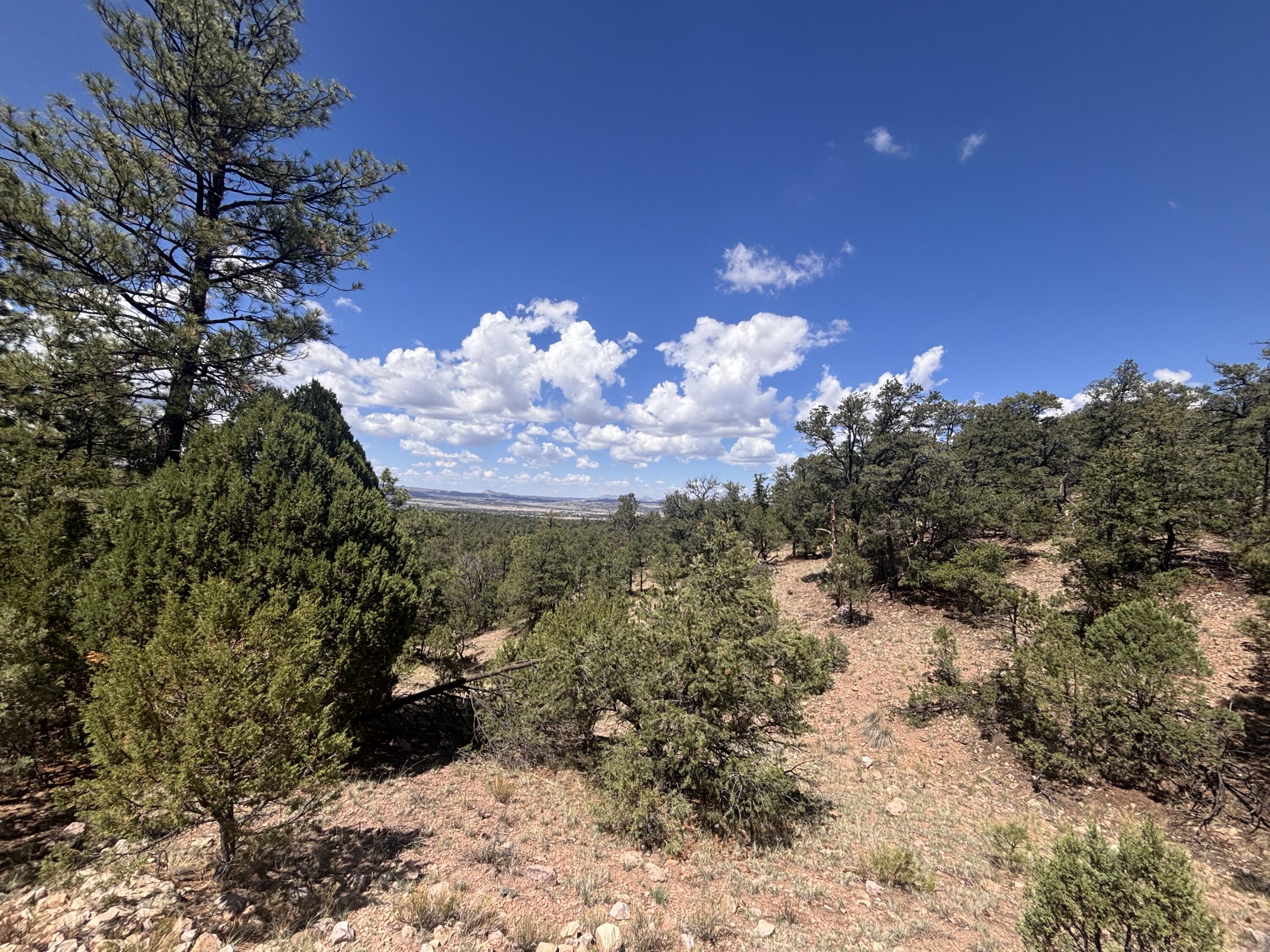 Lot 23 Tee Pee Ranch
