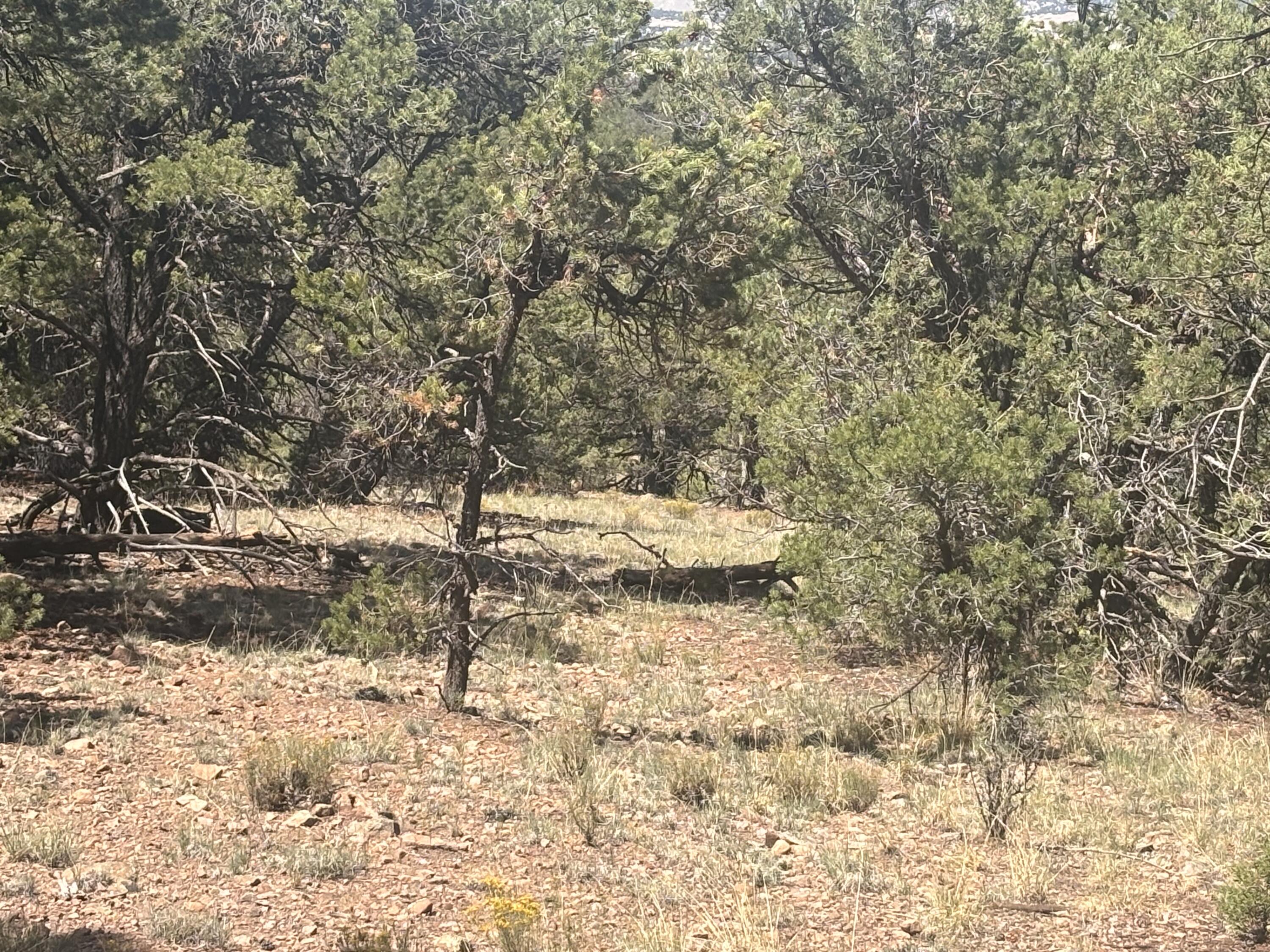 Lot 23 Tee Pee Ranch