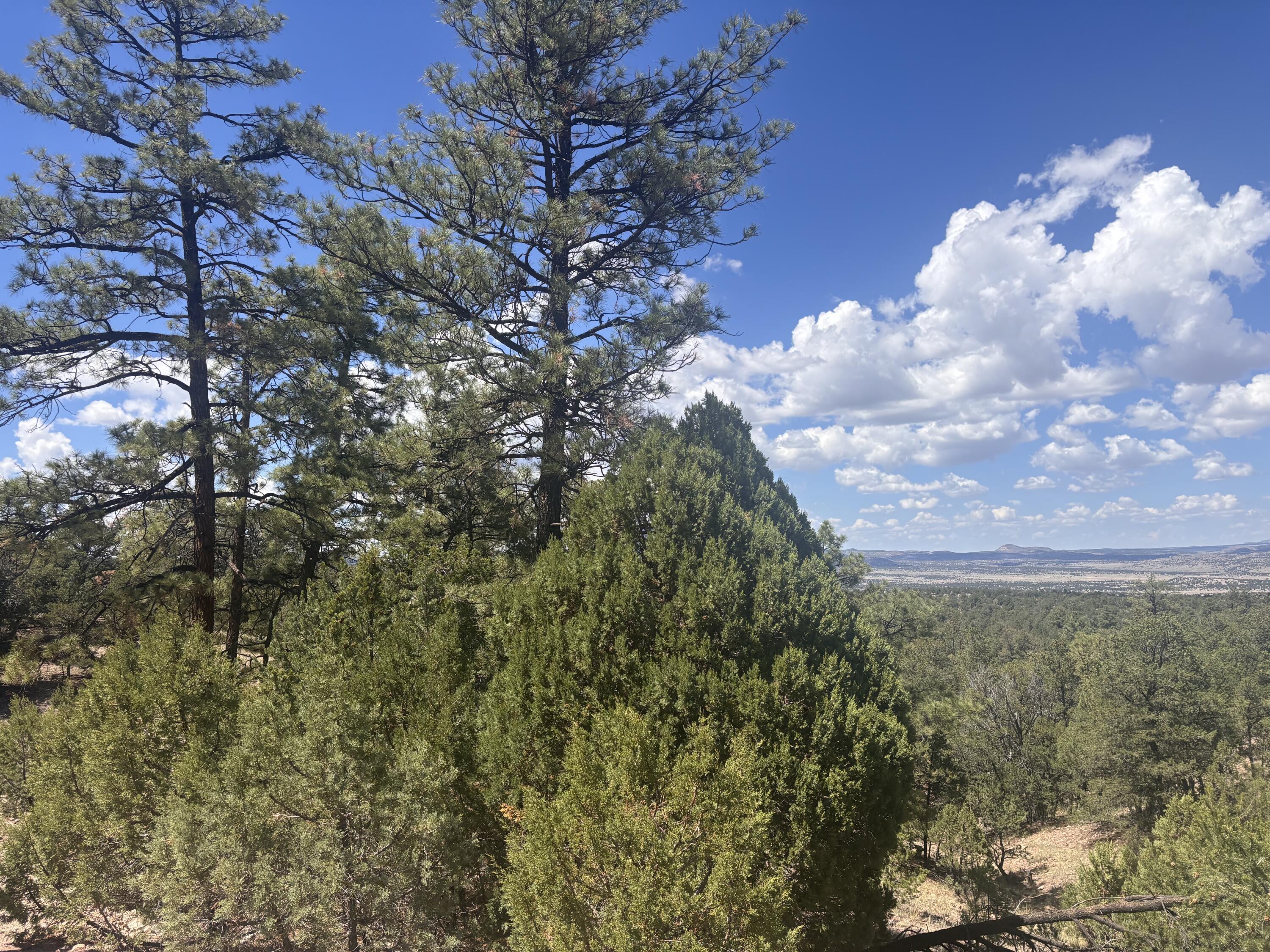 Lot 23 Tee Pee Ranch