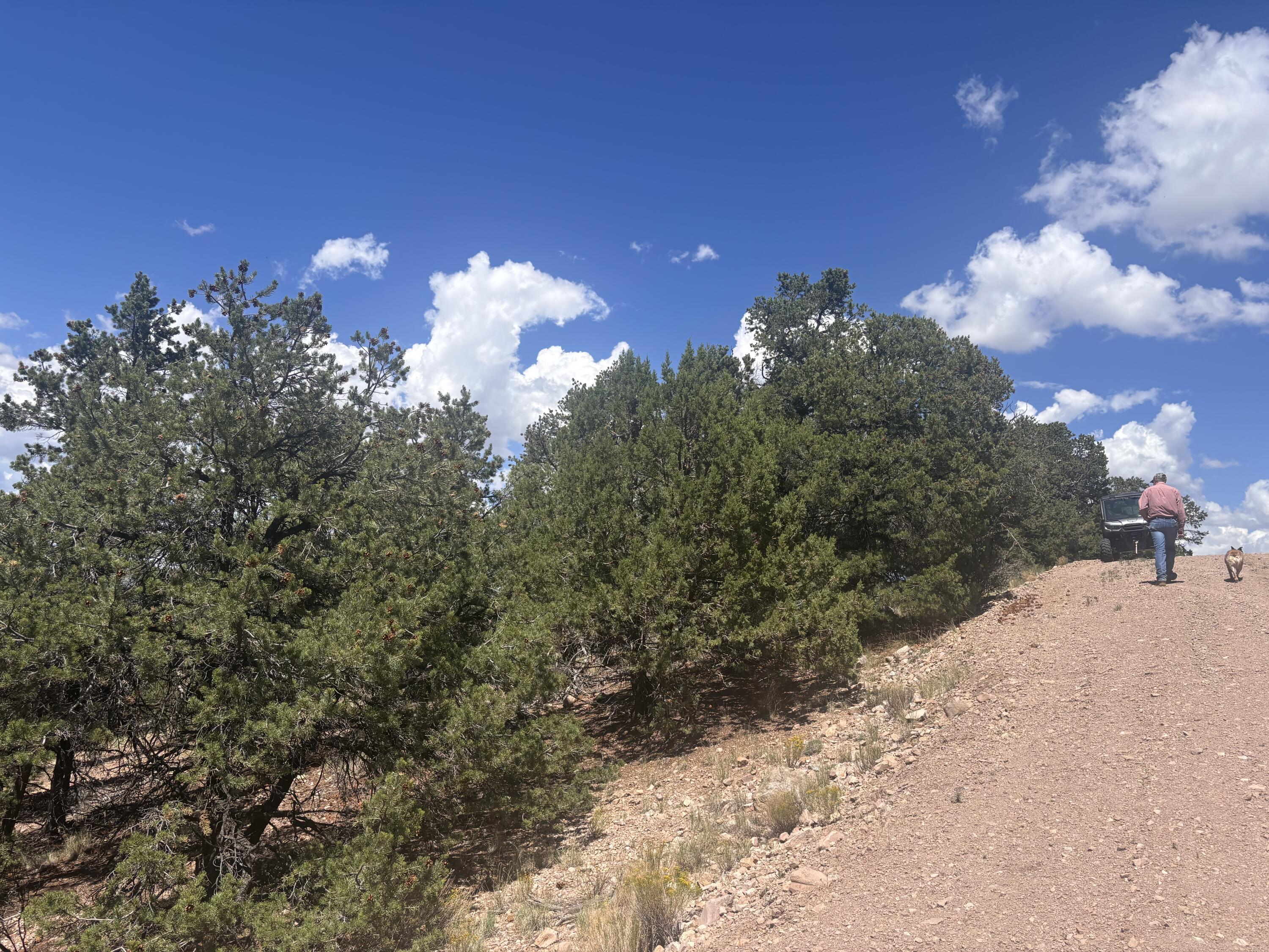 Lot 23 Tee Pee Ranch