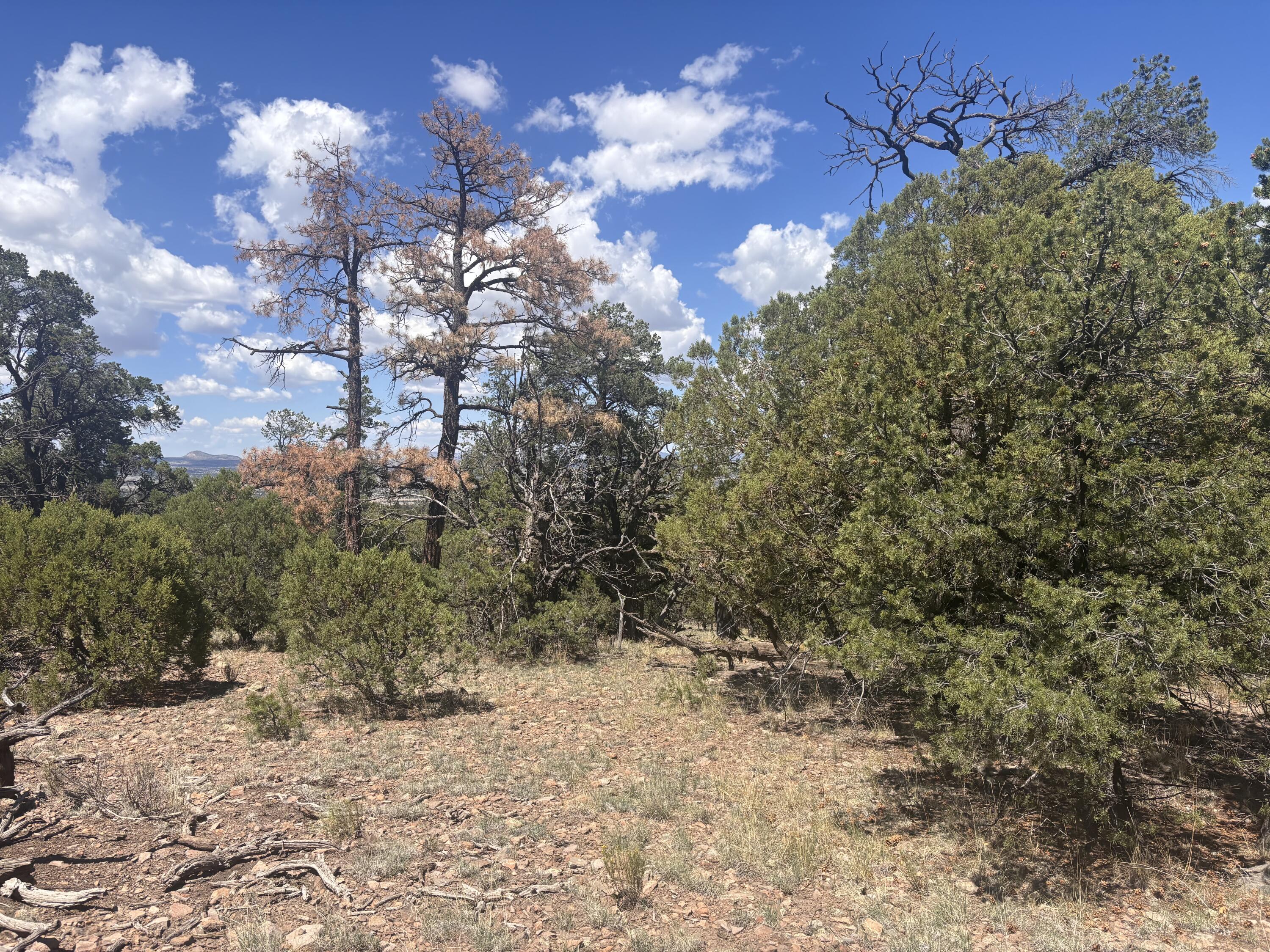 Lot 23 Tee Pee Ranch