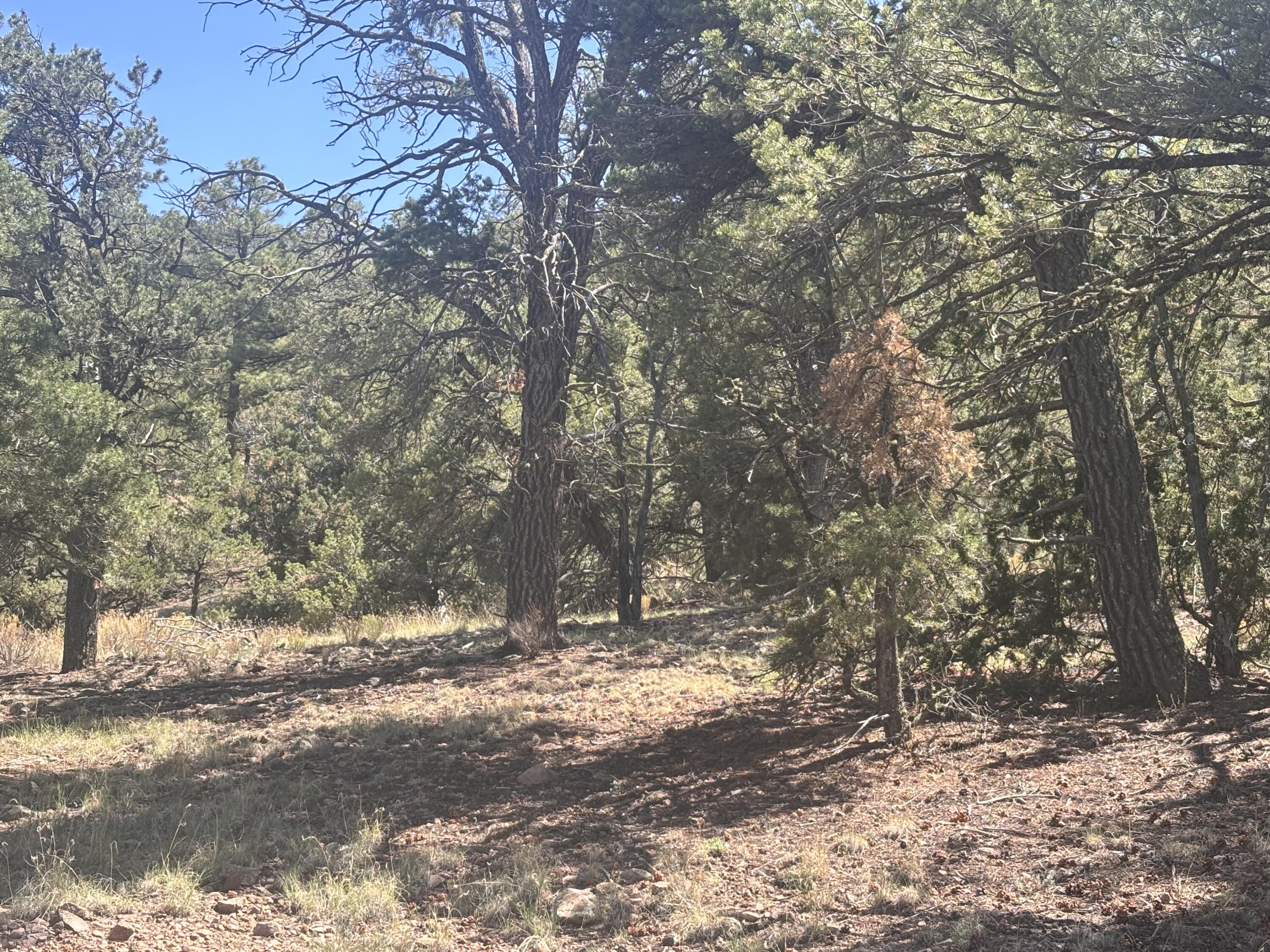 Lot 23 Tee Pee Ranch