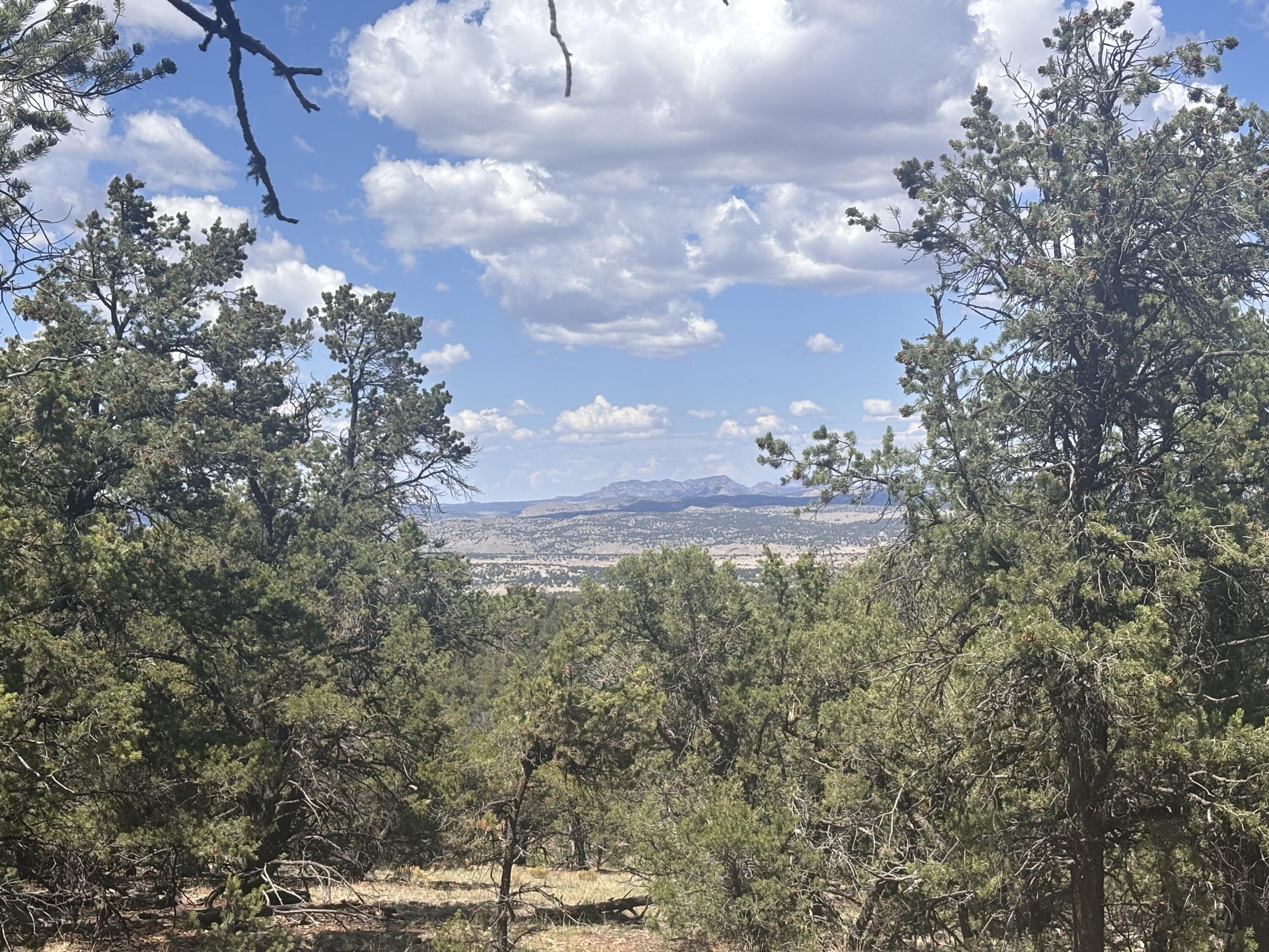 Lot 23 Tee Pee Ranch