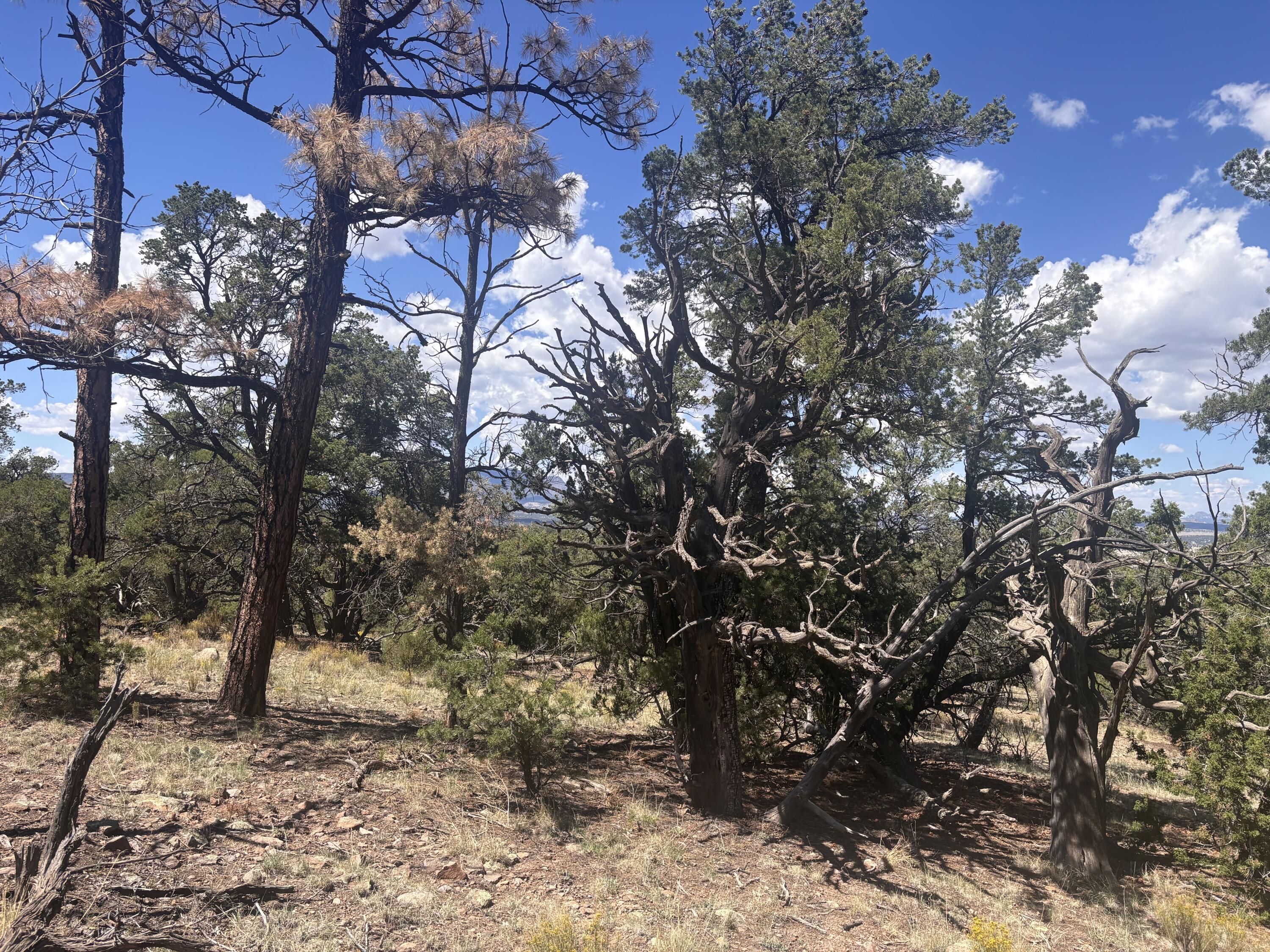 Lot 23 Tee Pee Ranch