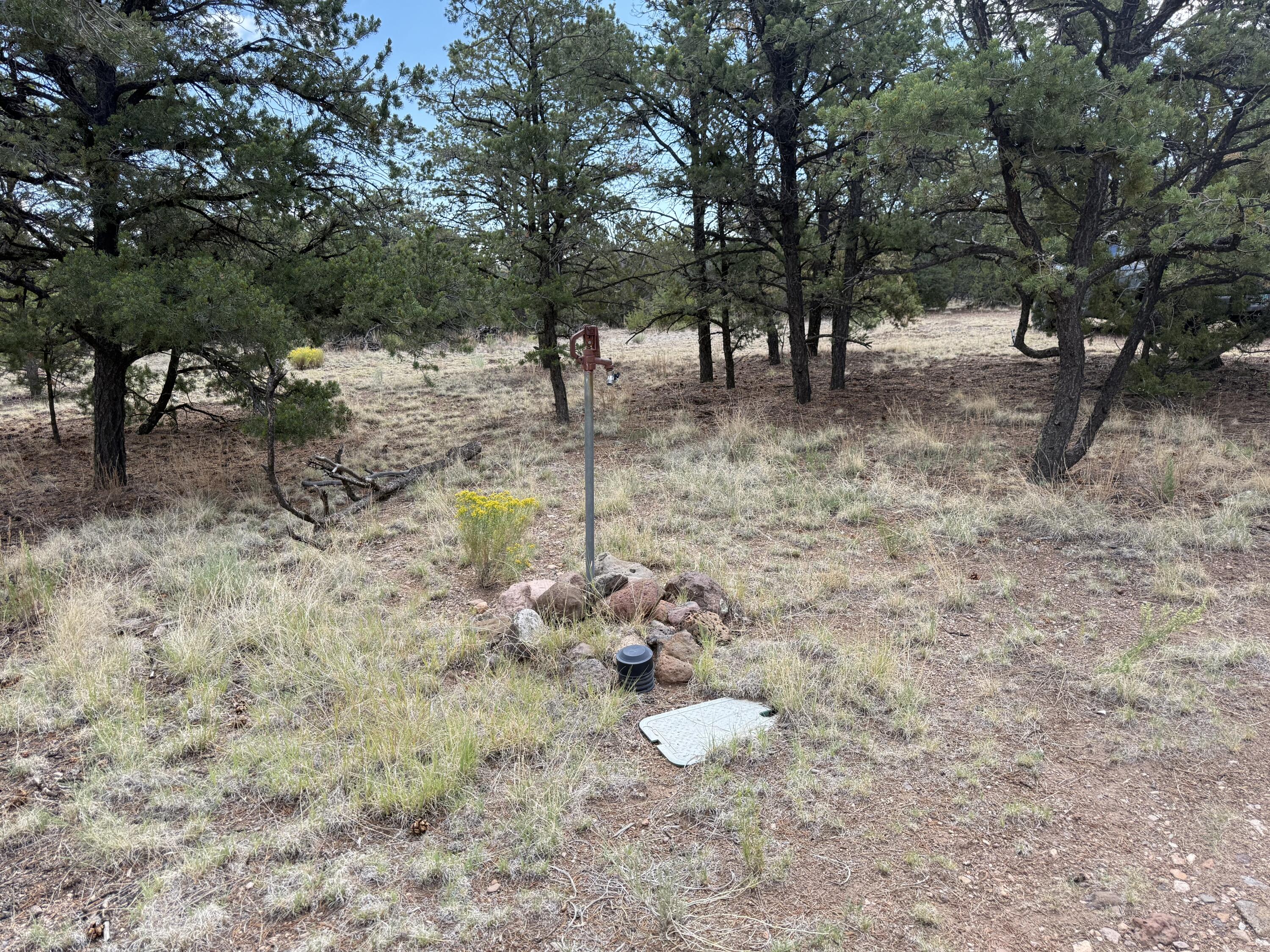 47 HORSE PEAK Trail
