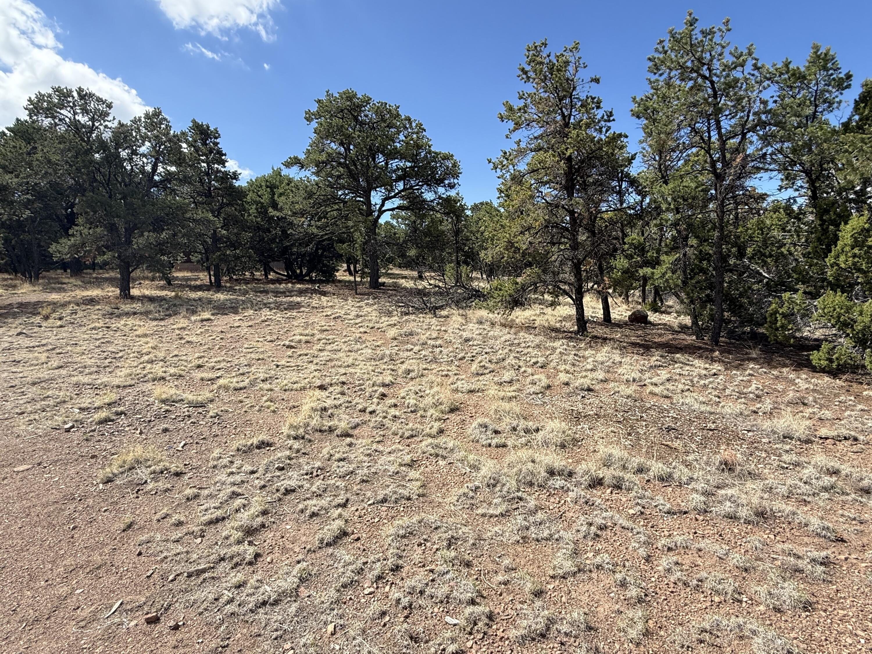47 HORSE PEAK Trail