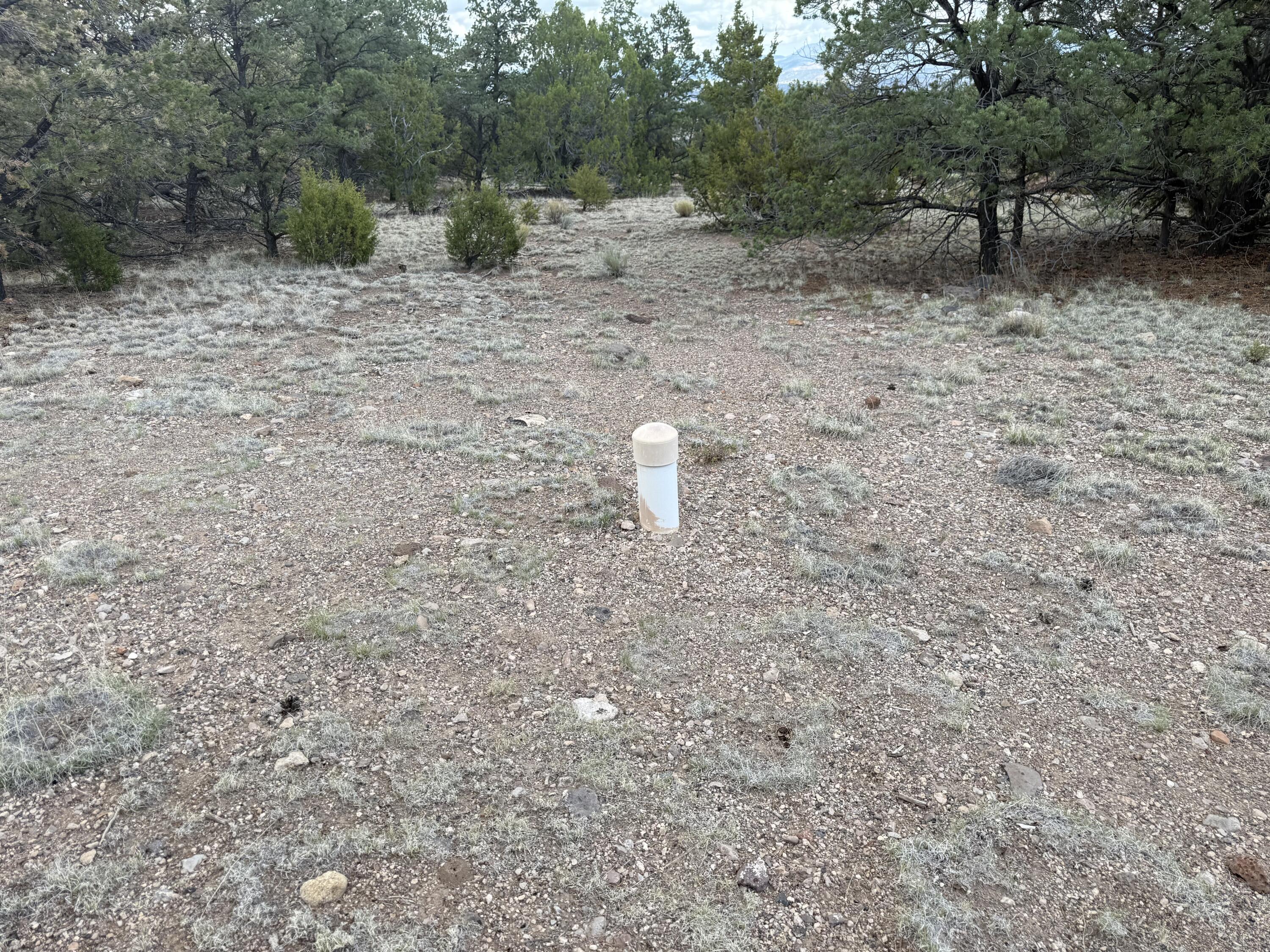 47 HORSE PEAK Trail
