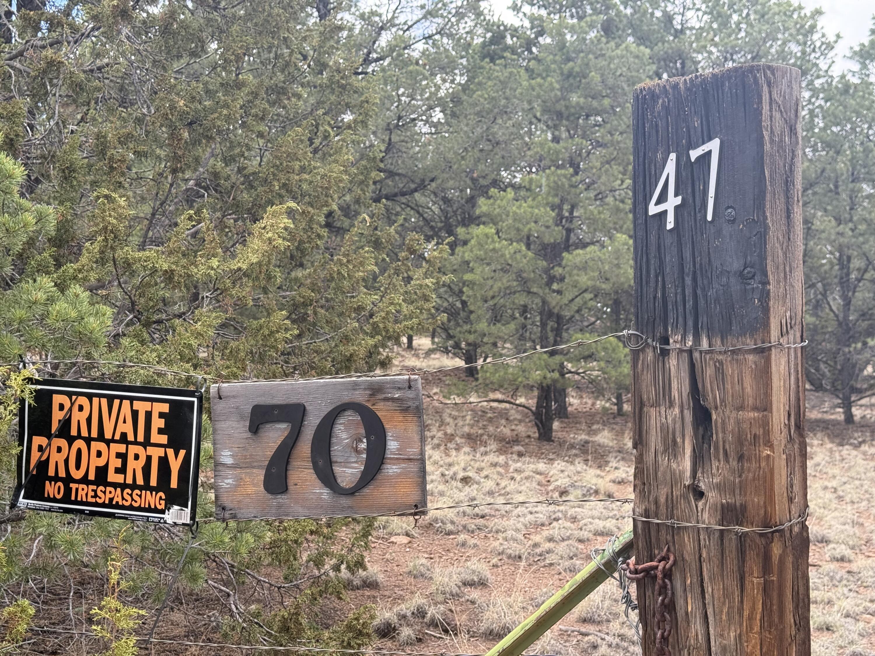 47 HORSE PEAK Trail