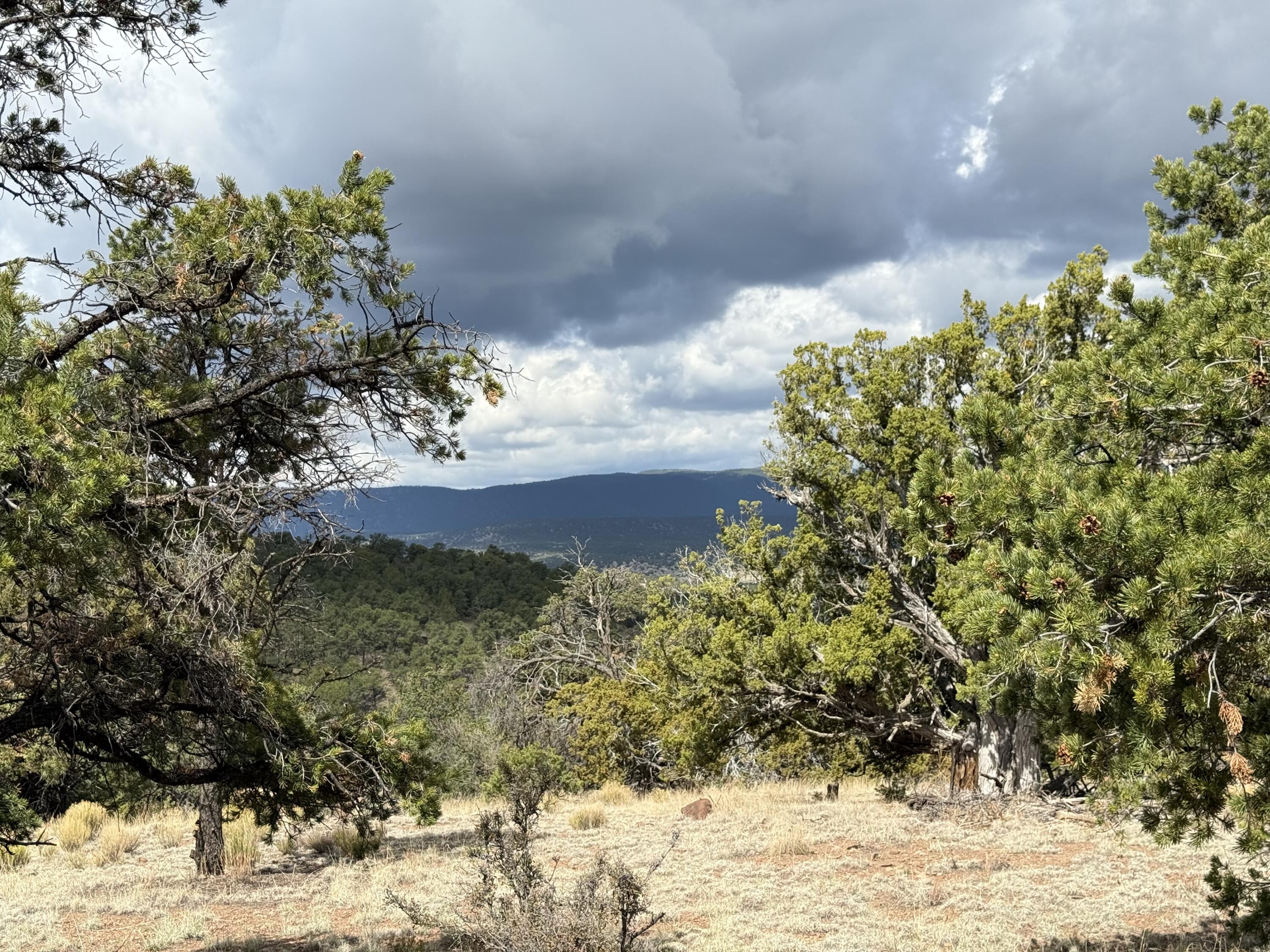 47 HORSE PEAK Trail