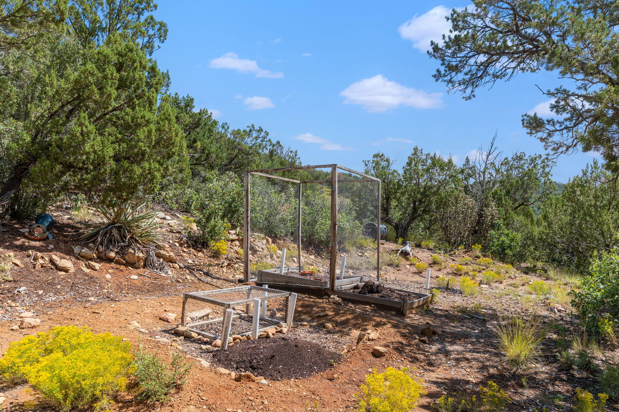86 CANYON Road