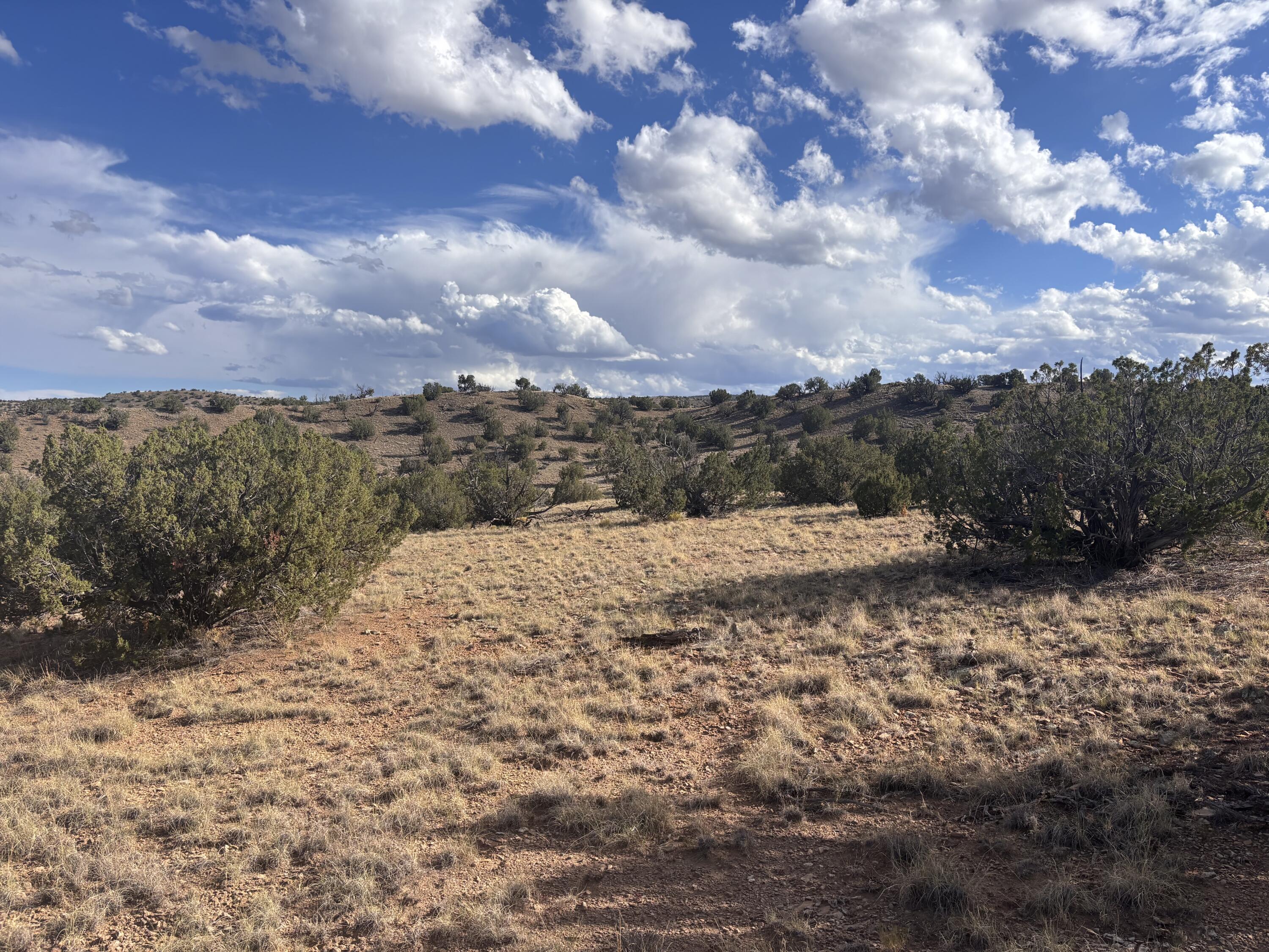 Lot 94 Abbe Springs Ranches