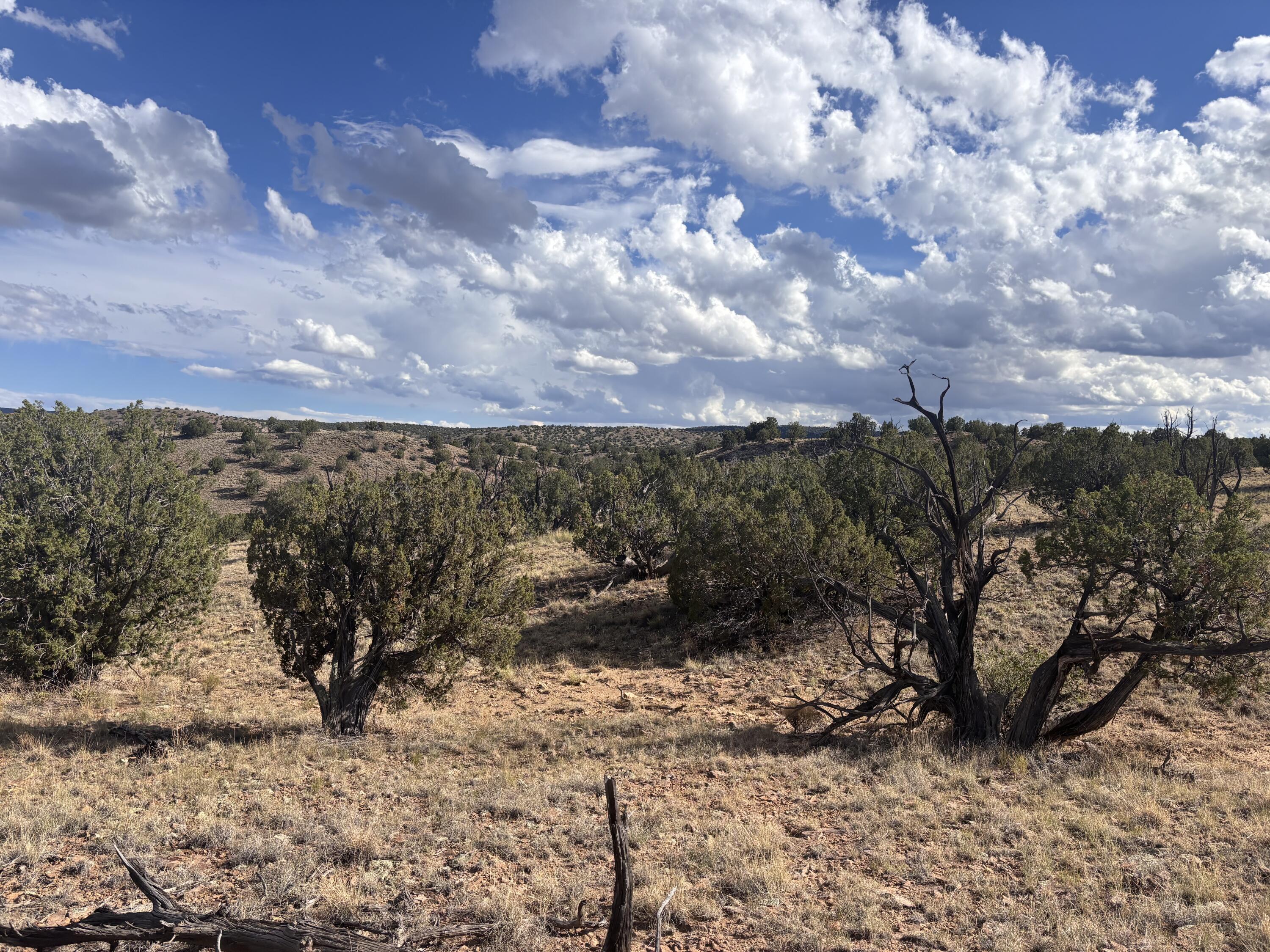 Lot 94 Abbe Springs Ranches