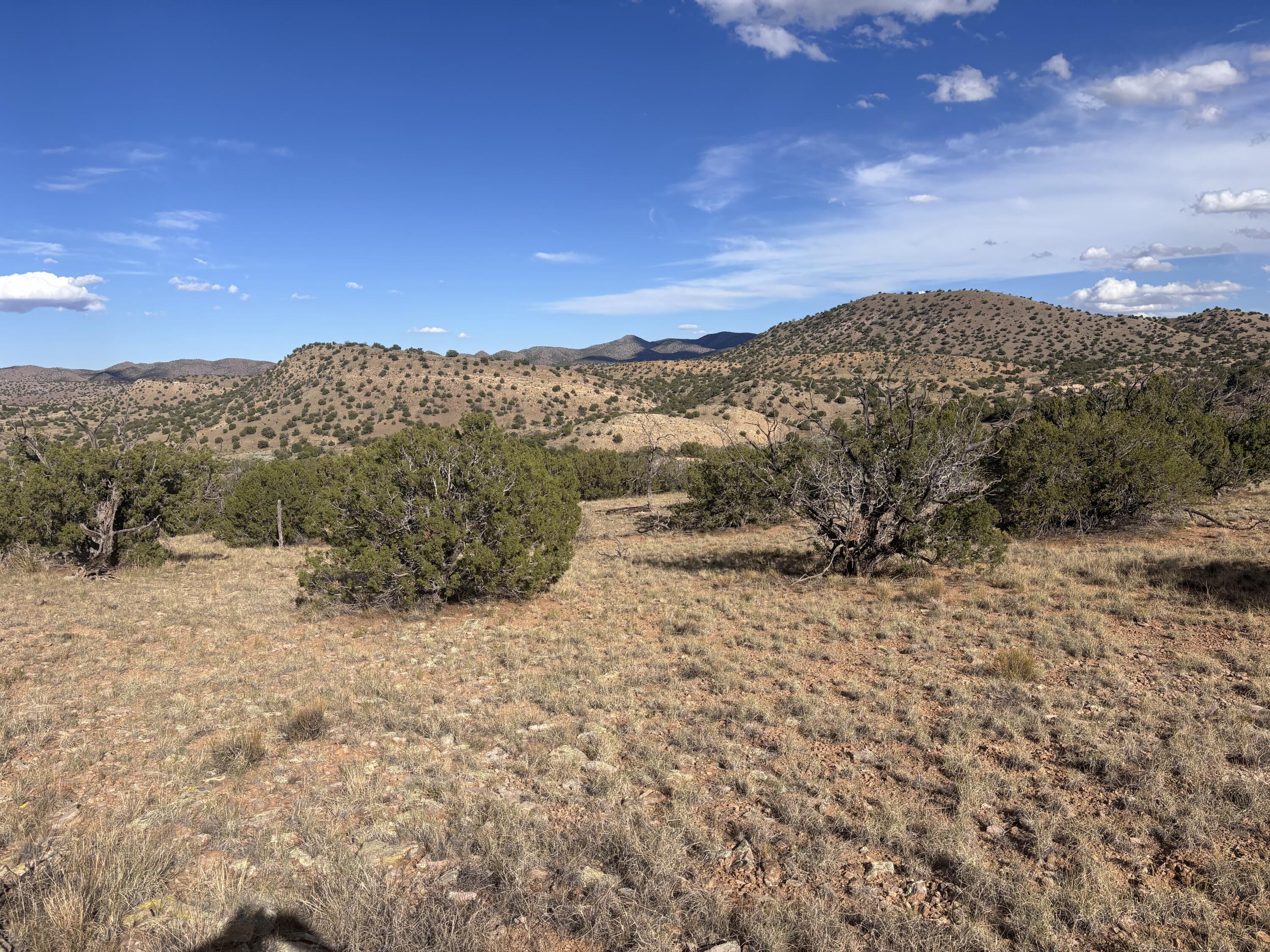 Lot 94 Abbe Springs Ranches