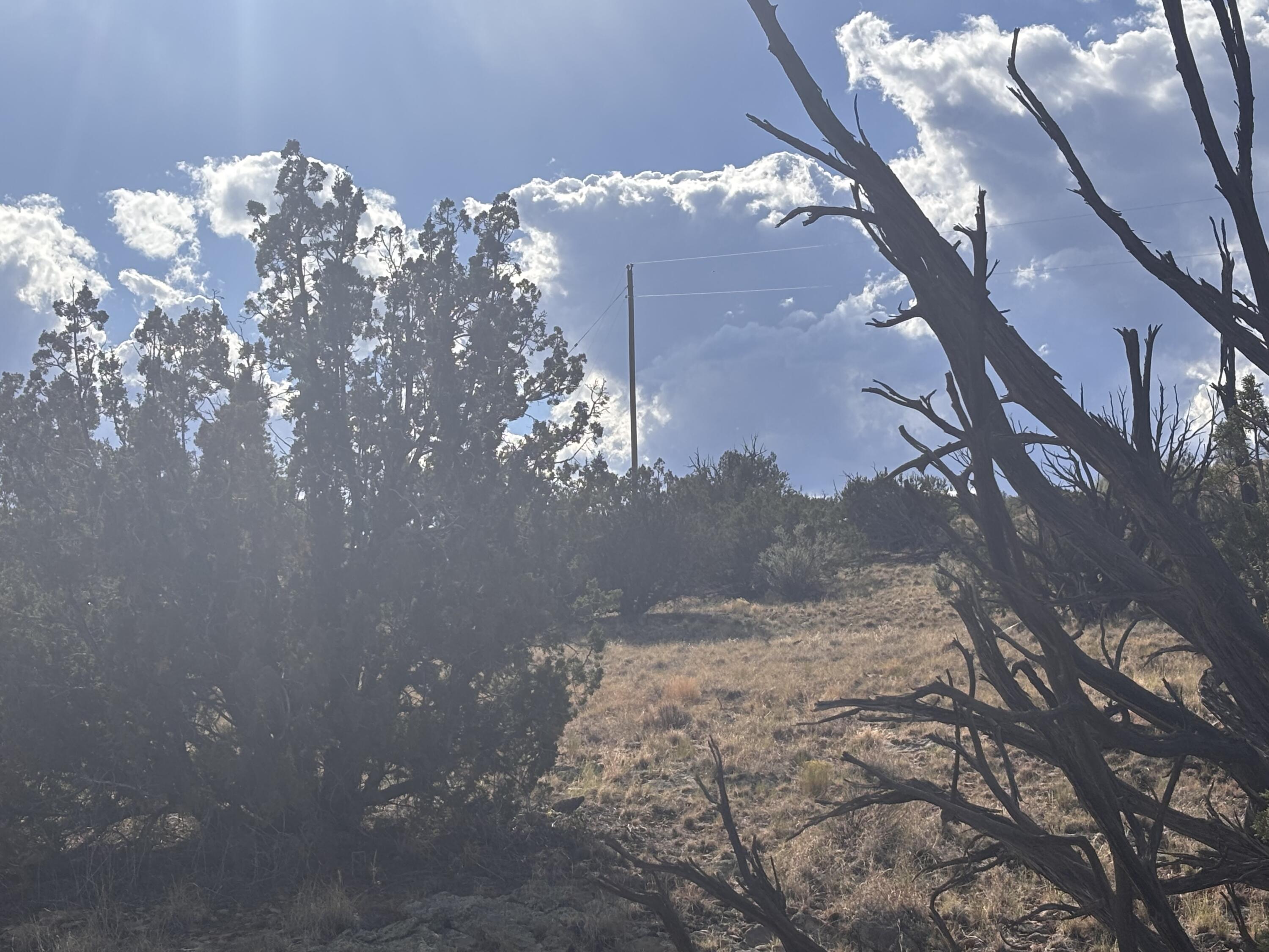Lot 94 Abbe Springs Ranches