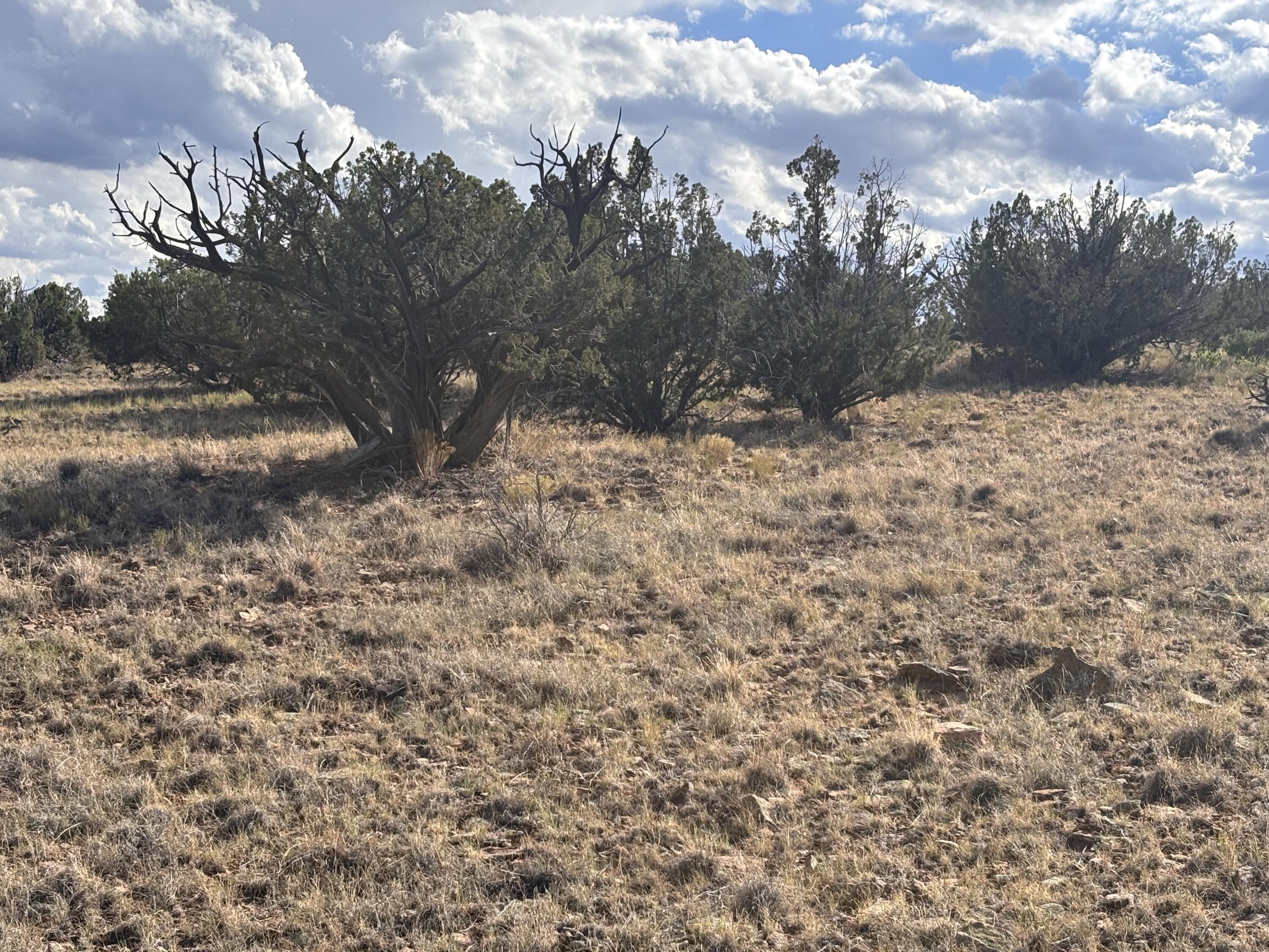 Lot 94 Abbe Springs Ranches
