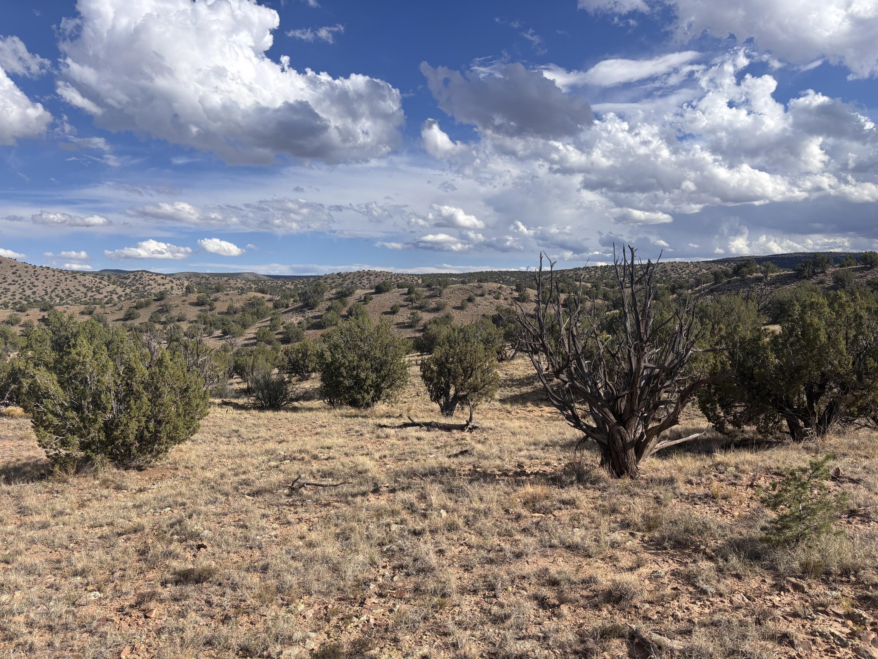 Lot 94 Abbe Springs Ranches